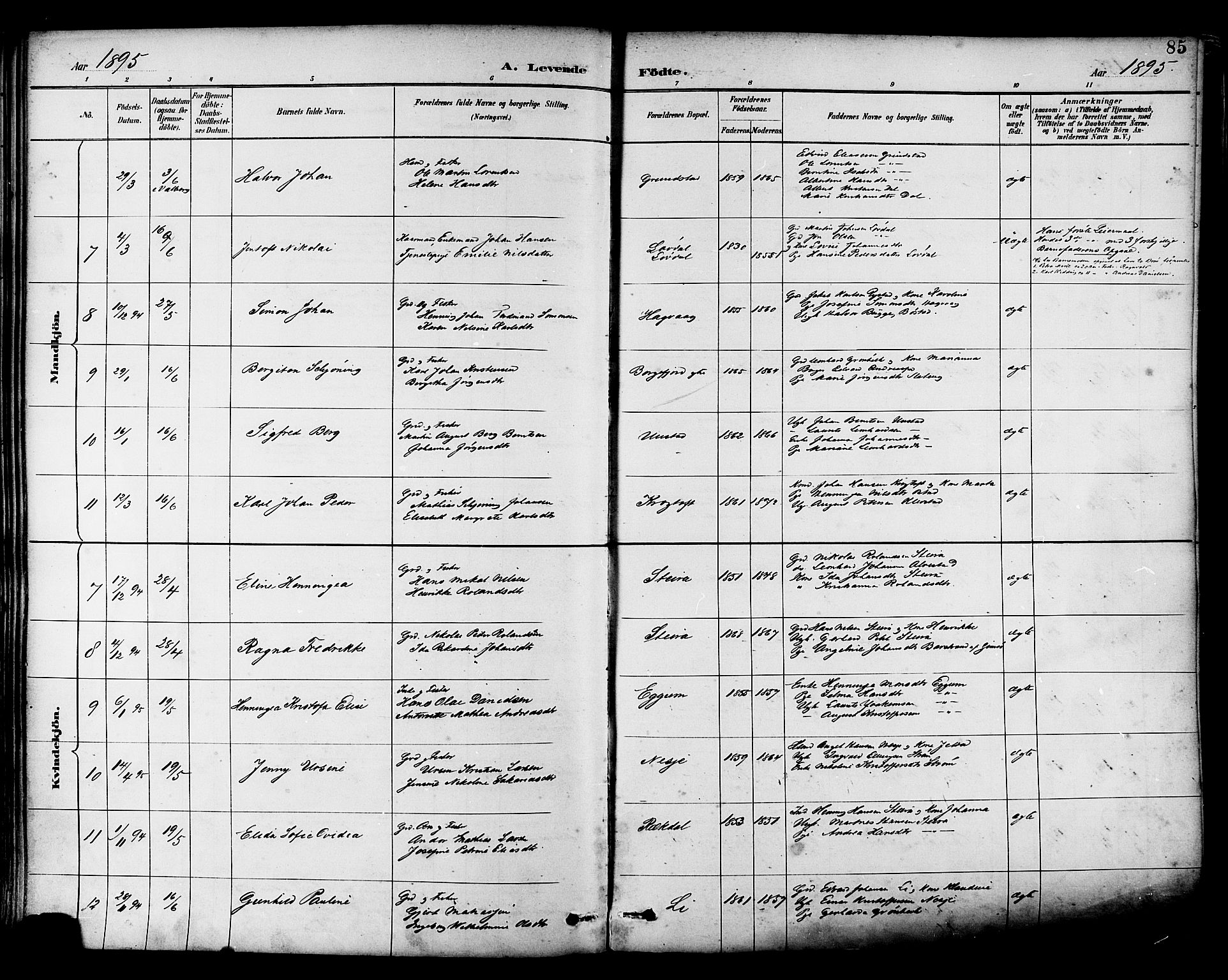 Ministerialprotokoller, klokkerbøker og fødselsregistre - Nordland, AV/SAT-A-1459/880/L1133: Parish register (official) no. 880A07, 1888-1898, p. 85