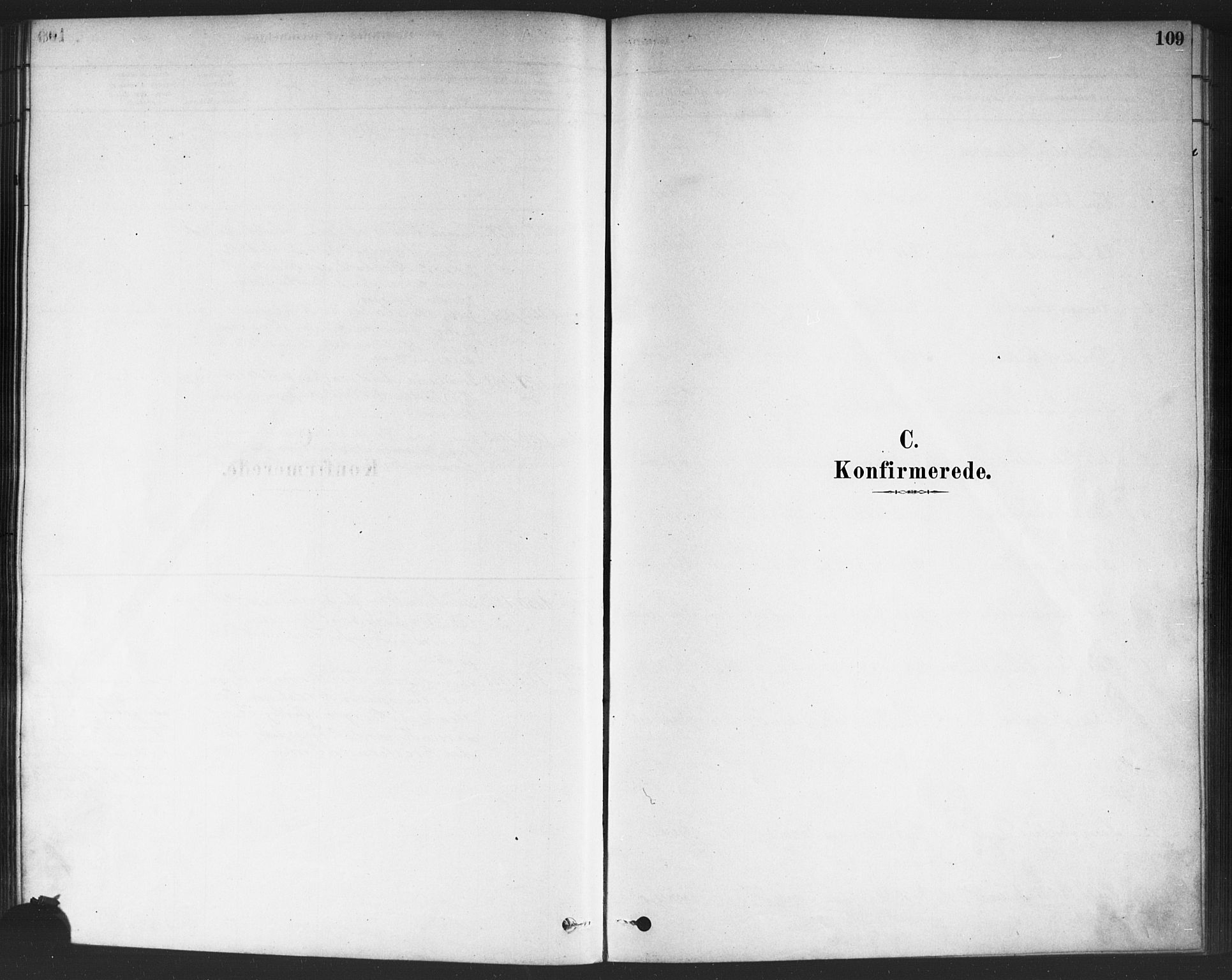 Drøbak prestekontor Kirkebøker, SAO/A-10142a/F/Fc/L0002: Parish register (official) no. III 2, 1878-1891, p. 109
