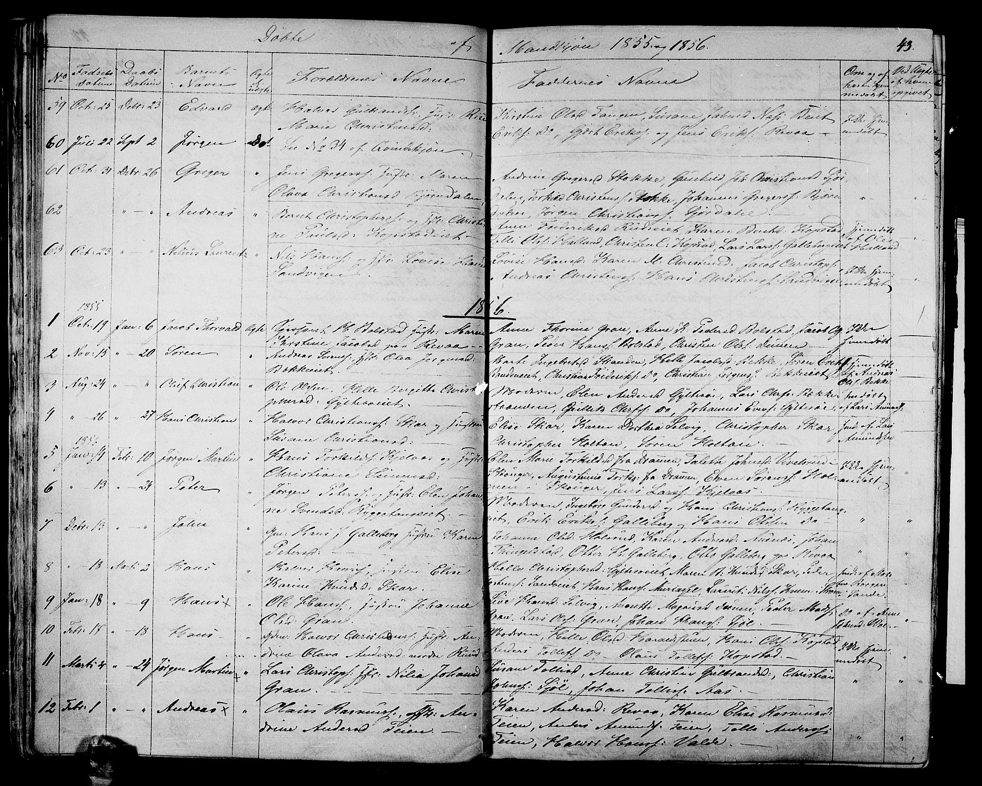 Sande Kirkebøker, AV/SAKO-A-53/G/Ga/L0002: Parish register (copy) no. 2, 1847-1863, p. 43