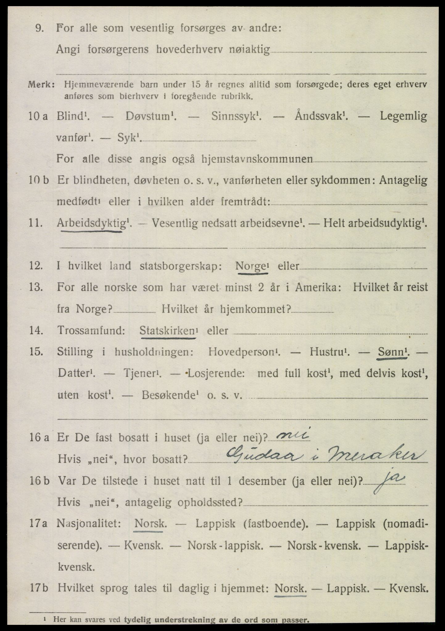 SAT, 1920 census for Meråker, 1920, p. 4039