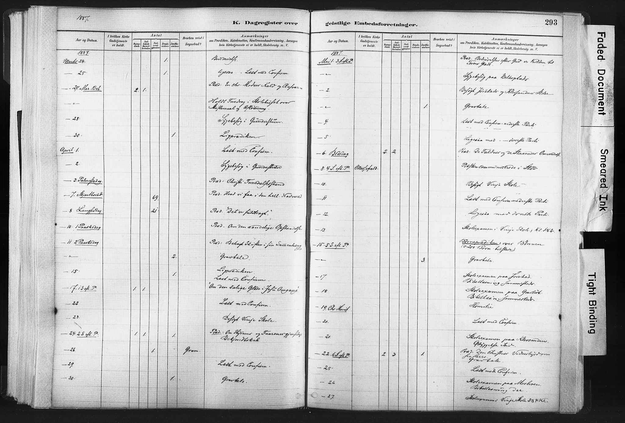 Ministerialprotokoller, klokkerbøker og fødselsregistre - Nord-Trøndelag, AV/SAT-A-1458/749/L0474: Parish register (official) no. 749A08, 1887-1903, p. 293