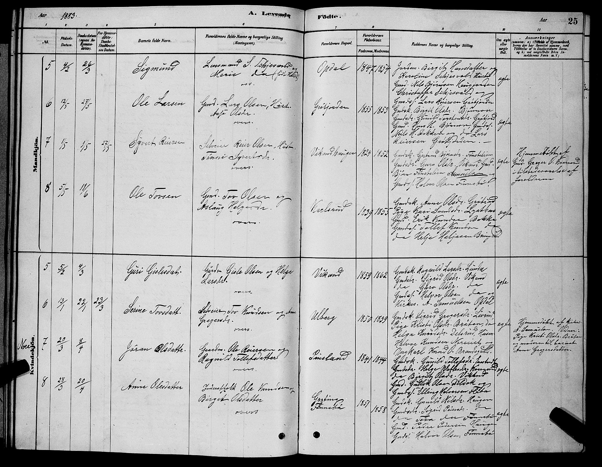 Nore kirkebøker, AV/SAKO-A-238/G/Gb/L0002: Parish register (copy) no. II 2, 1878-1894, p. 25