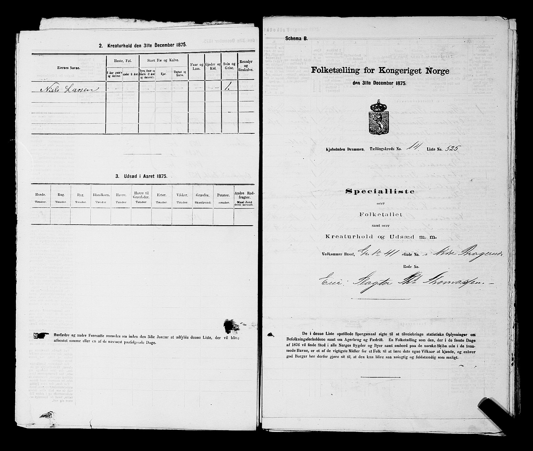 SAKO, 1875 census for 0602 Drammen, 1875, p. 1490