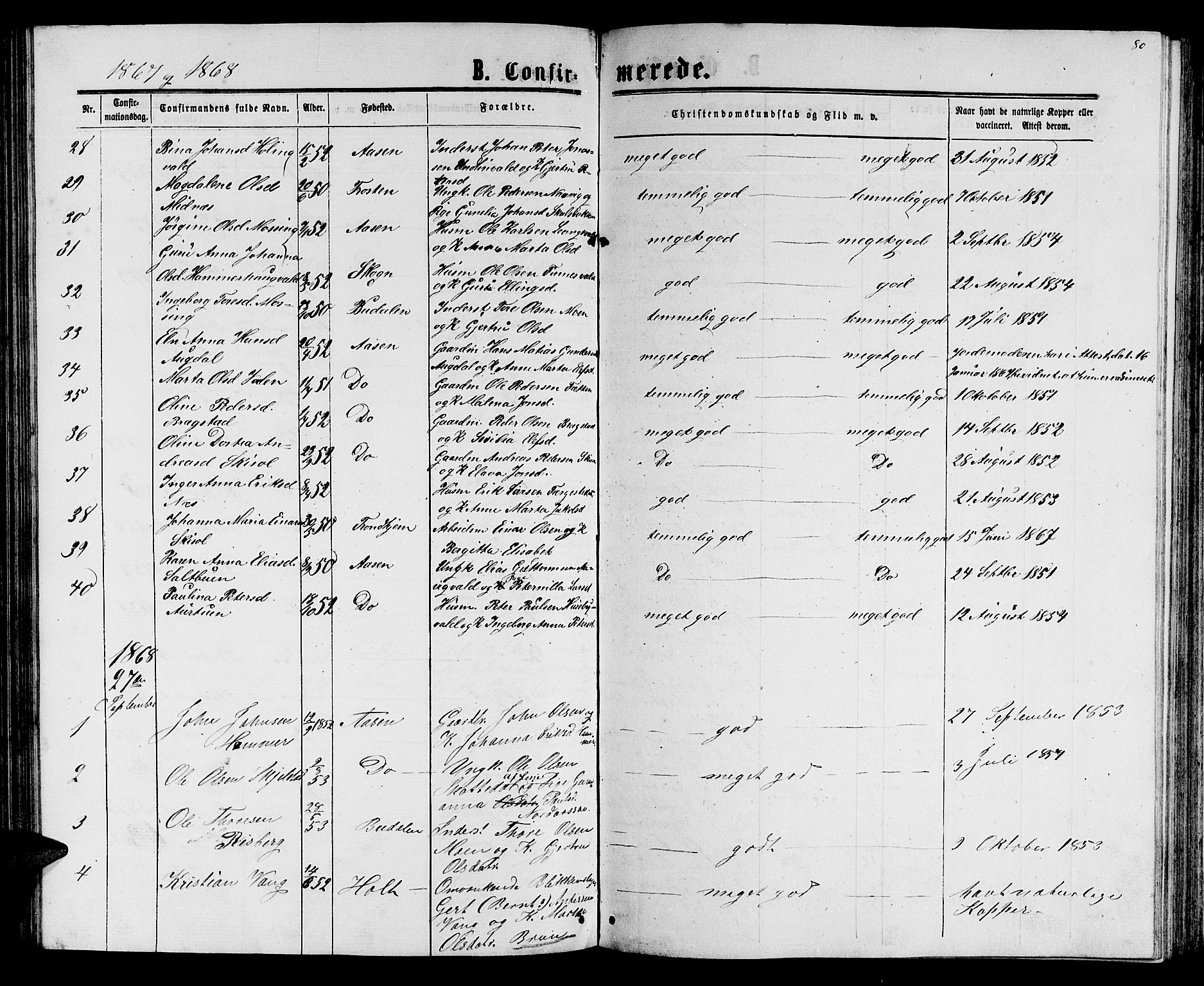 Ministerialprotokoller, klokkerbøker og fødselsregistre - Nord-Trøndelag, SAT/A-1458/714/L0133: Parish register (copy) no. 714C02, 1865-1877, p. 80