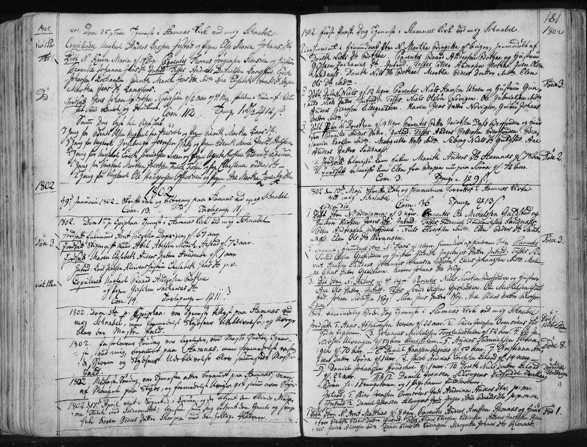 Ministerialprotokoller, klokkerbøker og fødselsregistre - Nordland, AV/SAT-A-1459/830/L0444: Parish register (official) no. 830A08, 1801-1819, p. 181