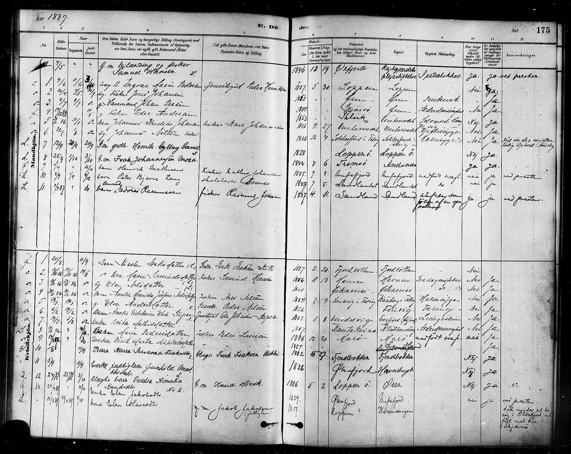 Loppa sokneprestkontor, SATØ/S-1339/H/Ha/L0006kirke: Parish register (official) no. 6, 1879-1895, p. 175