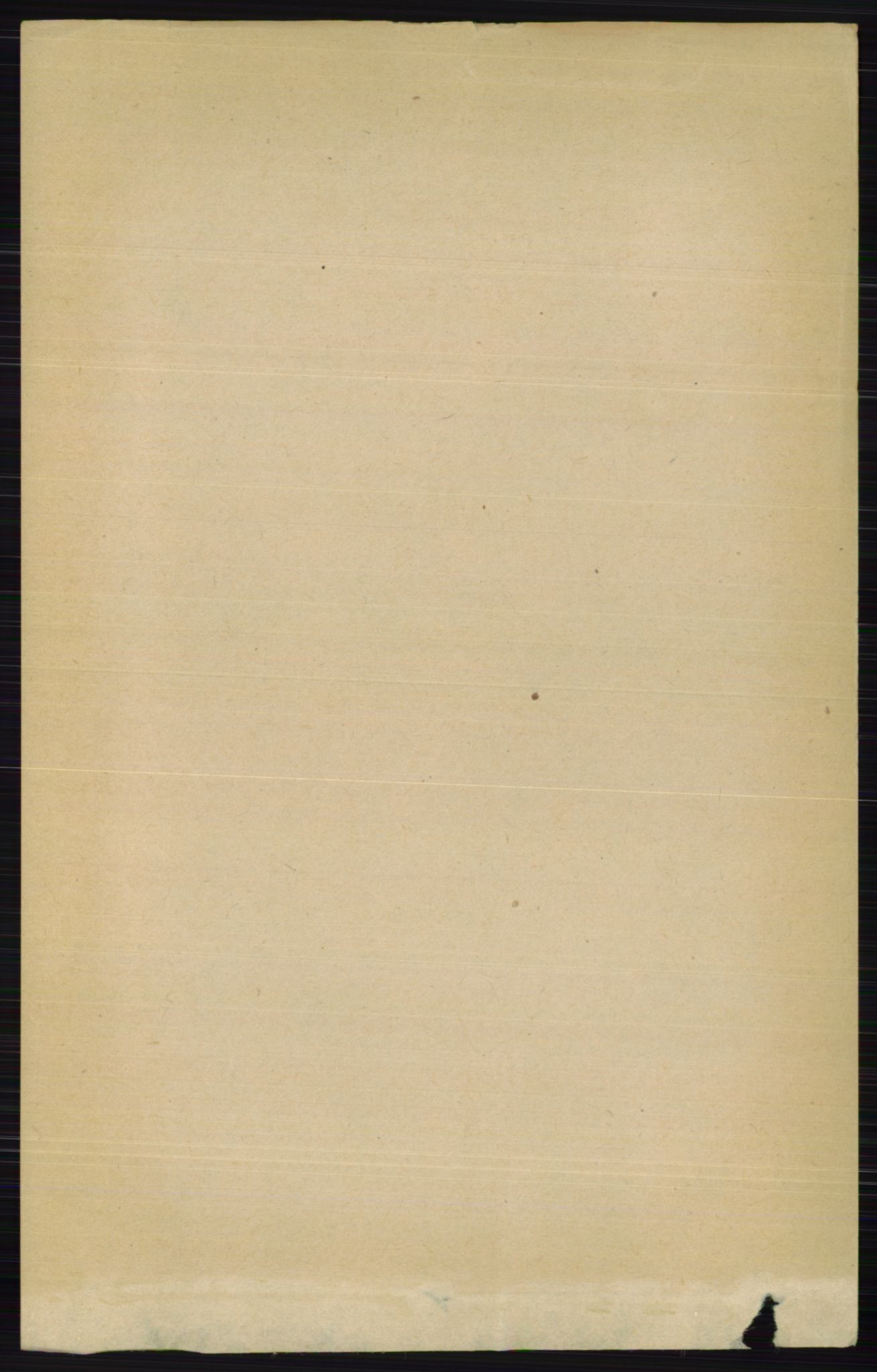 RA, 1891 census for 0412 Ringsaker, 1891, p. 6256