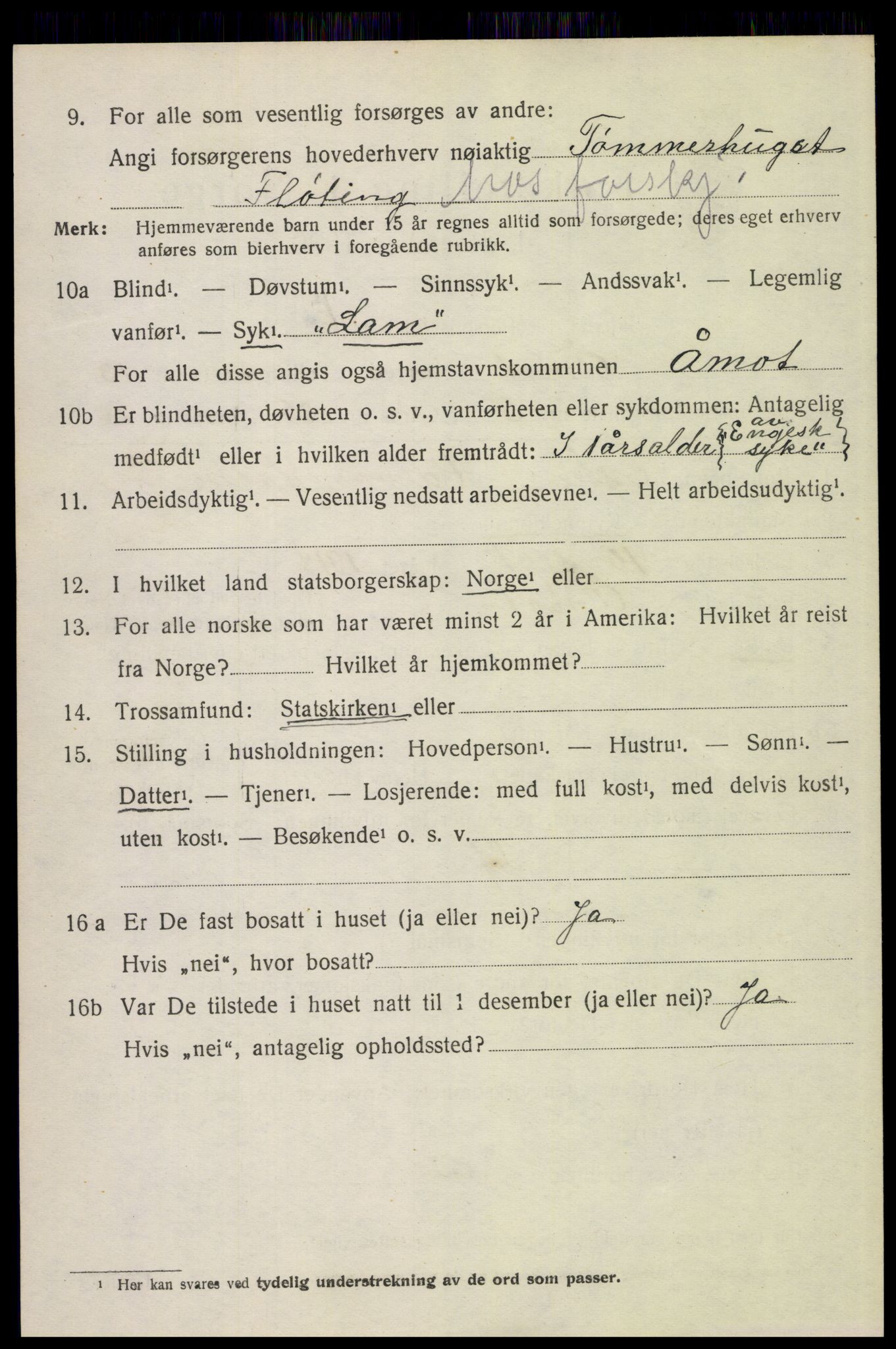 SAH, 1920 census for Åmot, 1920, p. 10770