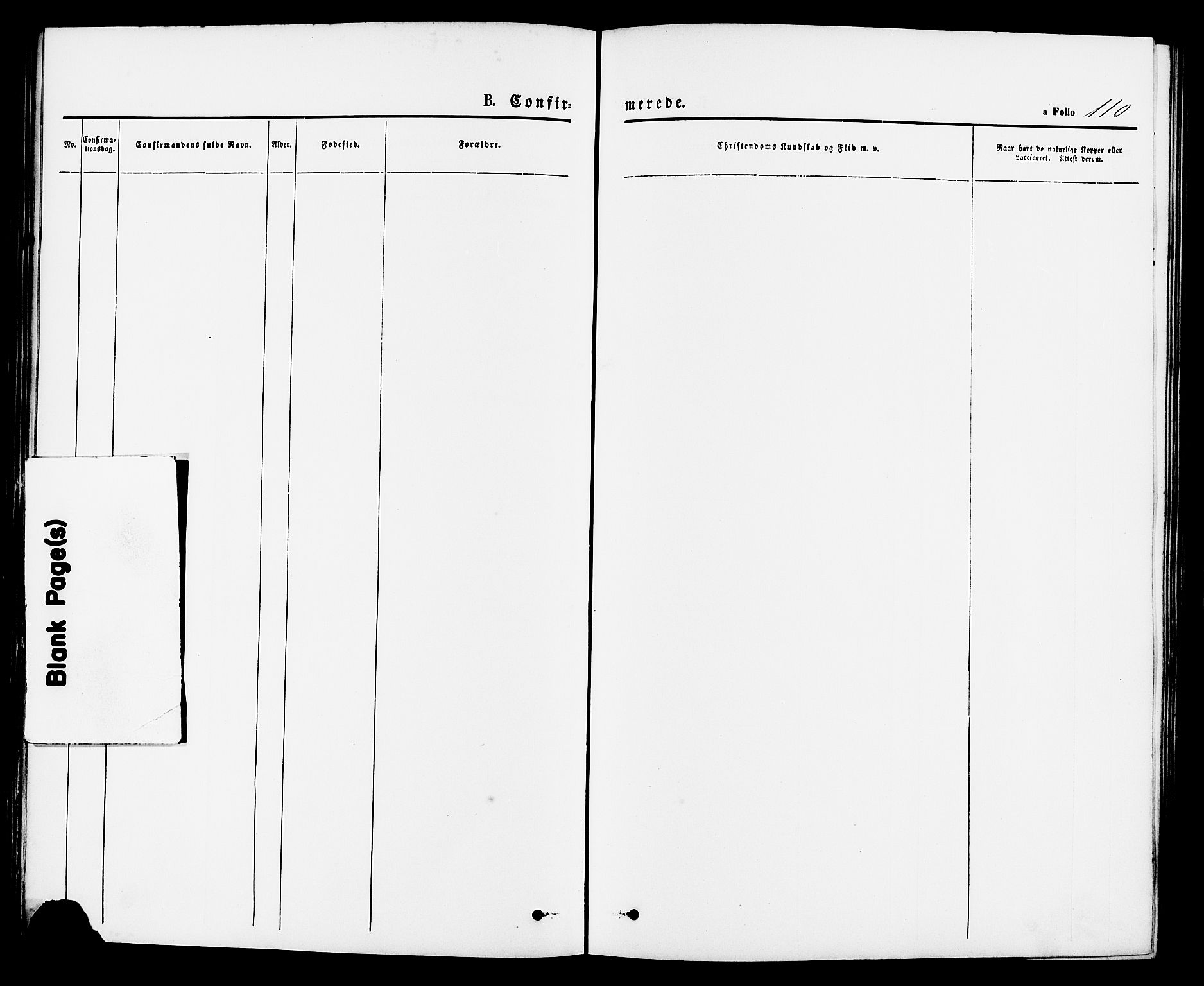 Vikedal sokneprestkontor, SAST/A-101840/01/IV: Parish register (official) no. A 7, 1868-1883, p. 110