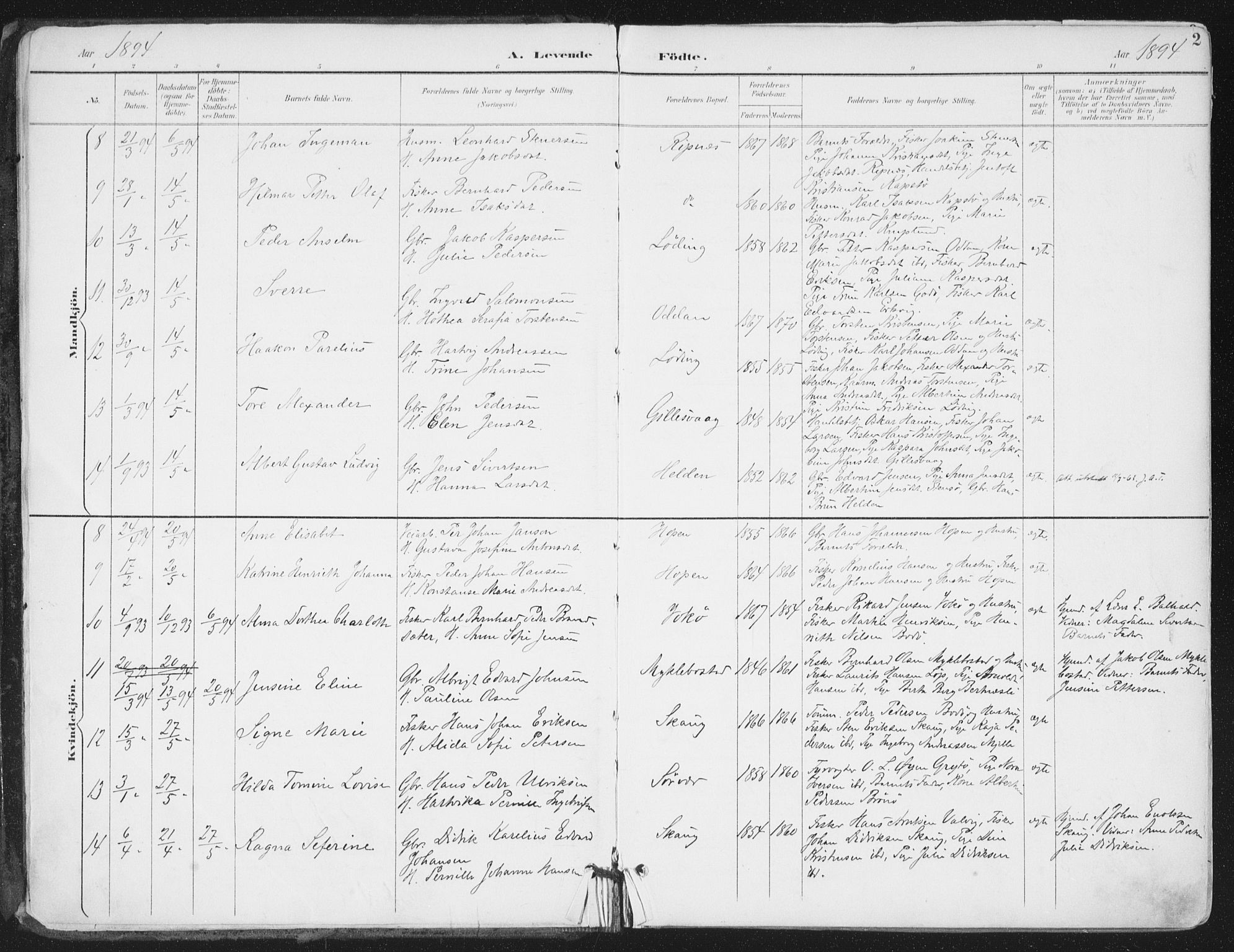 Ministerialprotokoller, klokkerbøker og fødselsregistre - Nordland, SAT/A-1459/802/L0055: Parish register (official) no. 802A02, 1894-1915, p. 2