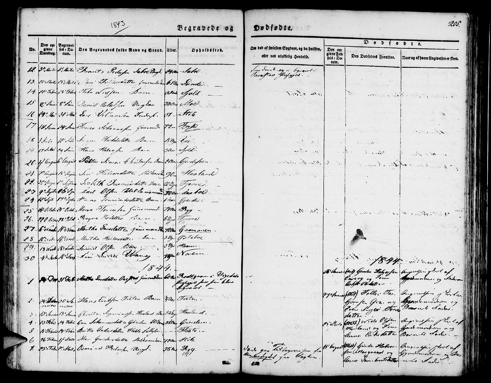 Etne sokneprestembete, SAB/A-75001/H/Haa: Parish register (official) no. A 7, 1831-1847, p. 205