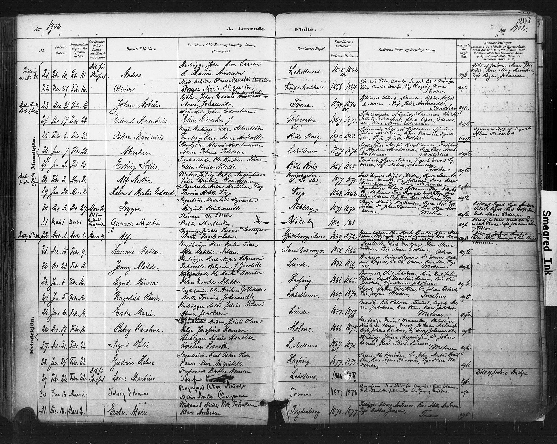 Glemmen prestekontor Kirkebøker, SAO/A-10908/F/Fa/L0013: Parish register (official) no. 13, 1892-1907, p. 207