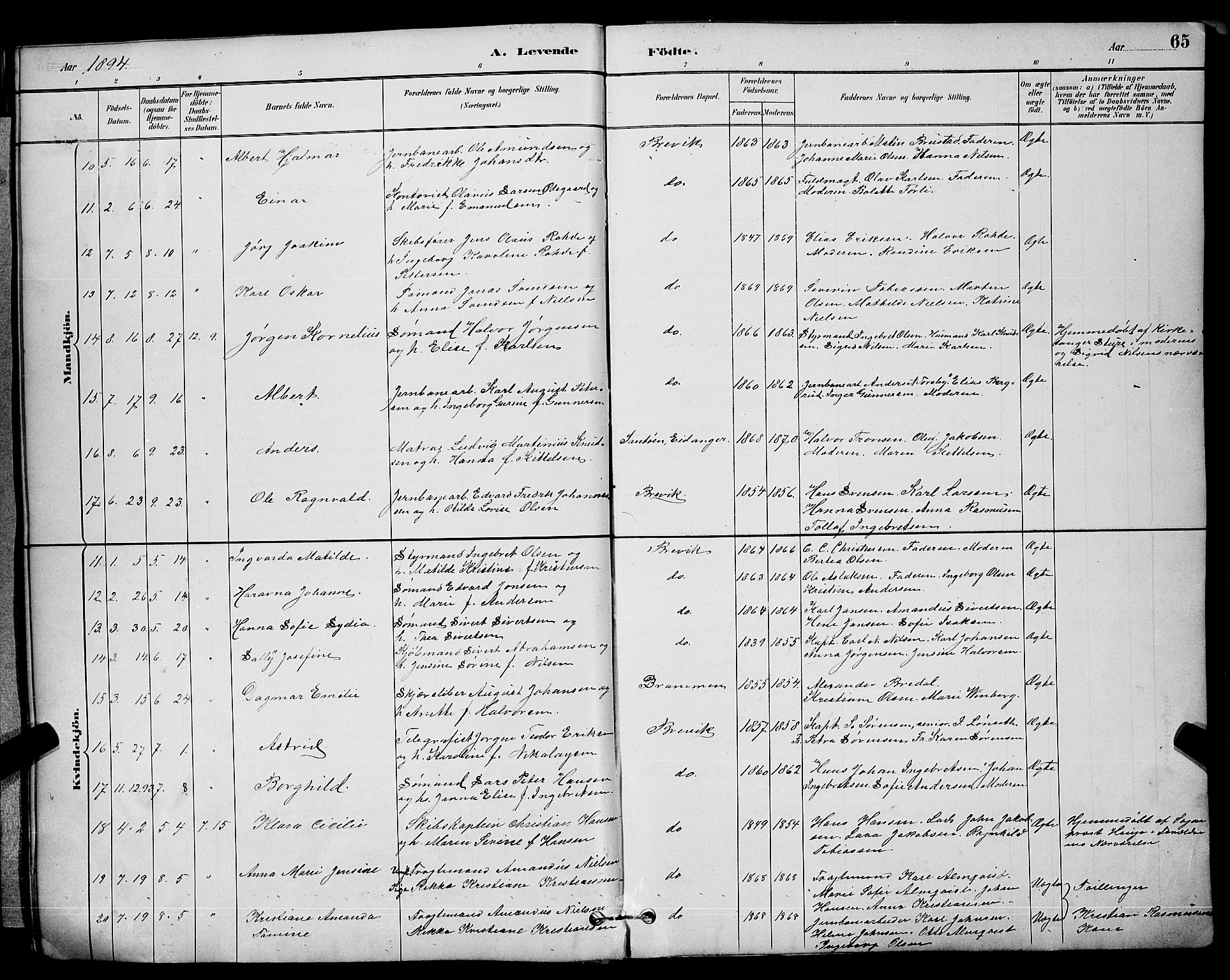 Brevik kirkebøker, AV/SAKO-A-255/G/Ga/L0004: Parish register (copy) no. 4, 1882-1900, p. 65