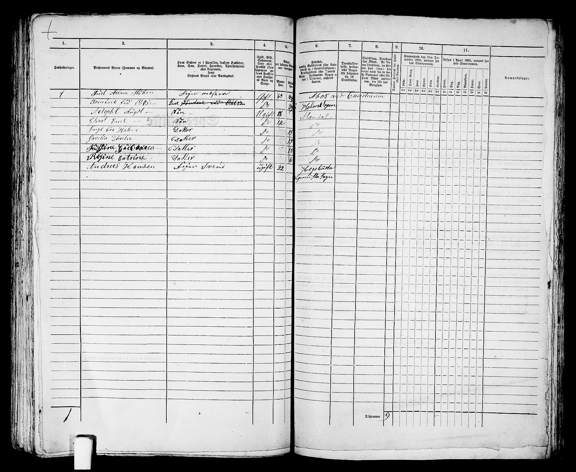 RA, 1865 census for Mandal/Mandal, 1865, p. 845