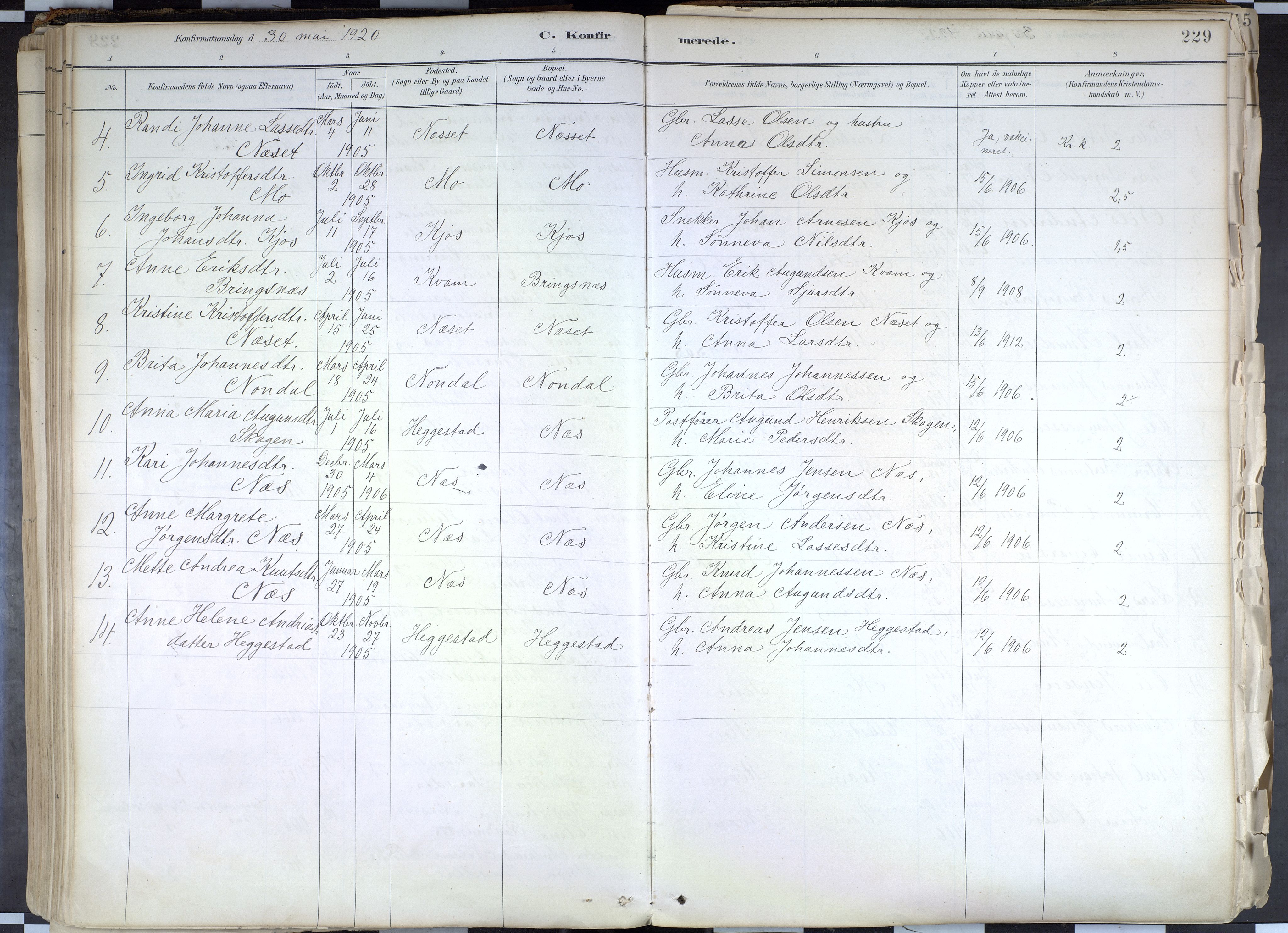 Hafslo sokneprestembete, AV/SAB-A-80301/H/Haa/Haab/L0001: Parish register (official) no. B 1, 1886-1945, p. 229