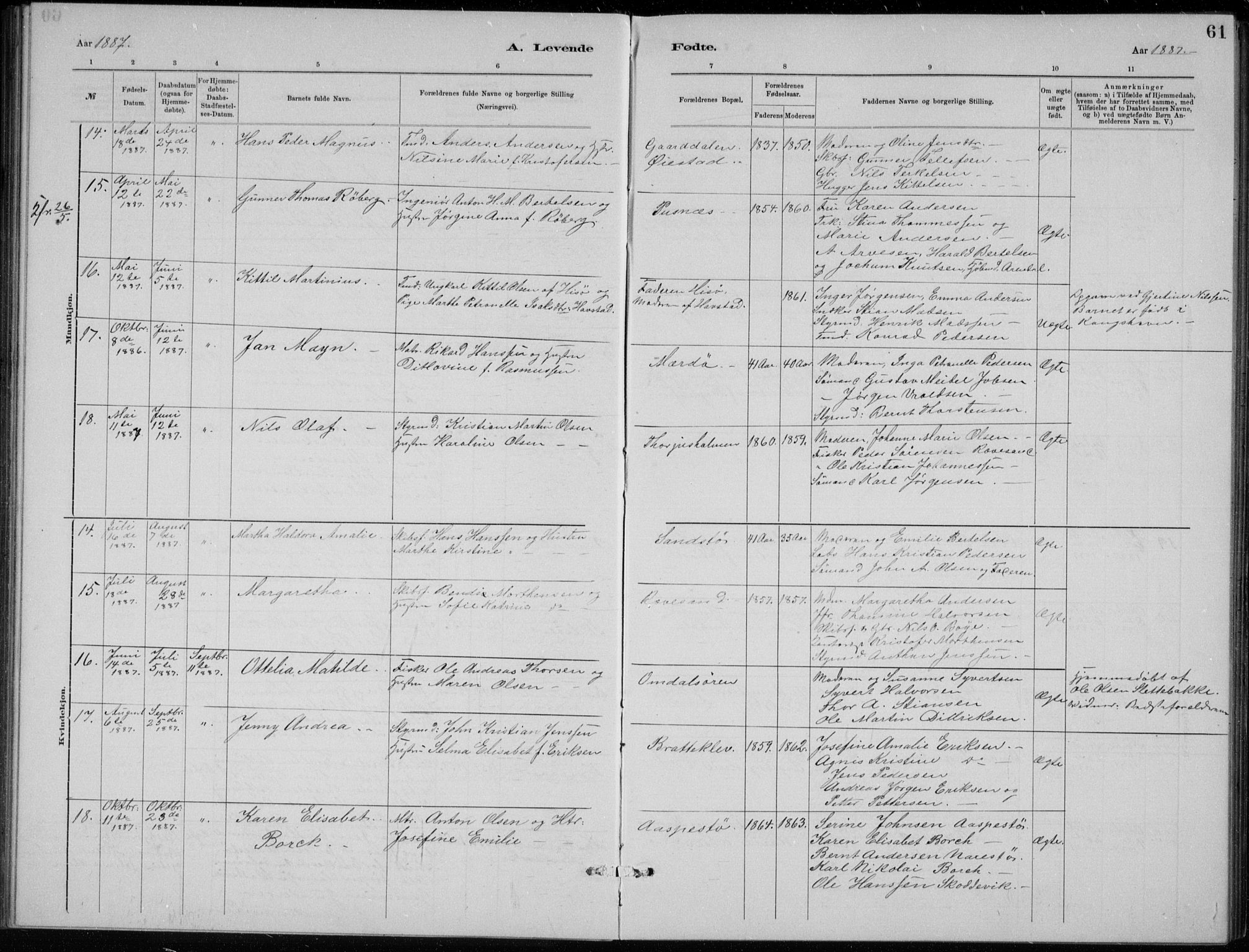 Tromøy sokneprestkontor, AV/SAK-1111-0041/F/Fb/L0005: Parish register (copy) no. B 5, 1877-1891, p. 61