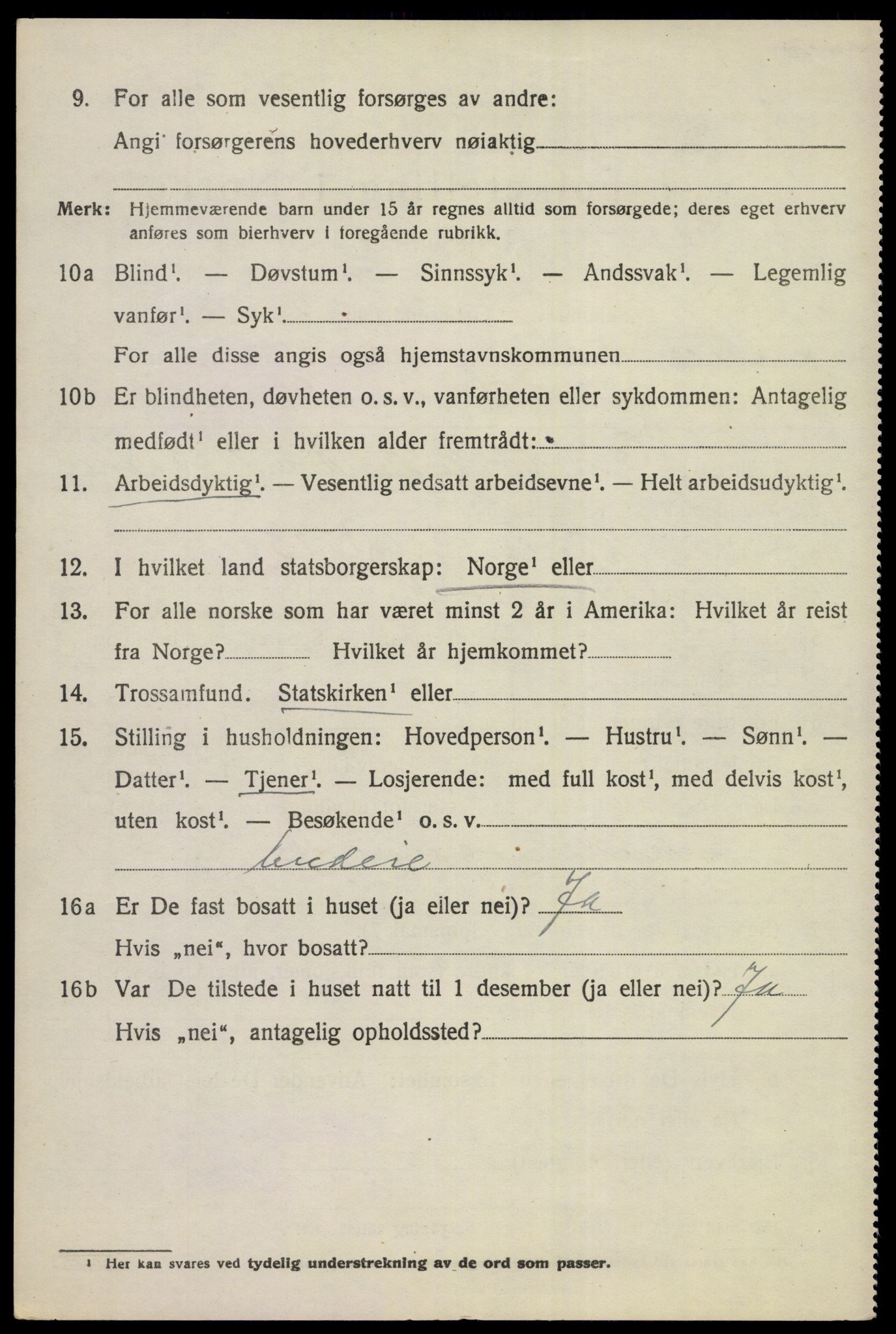 SAKO, 1920 census for Nes (Buskerud), 1920, p. 1899