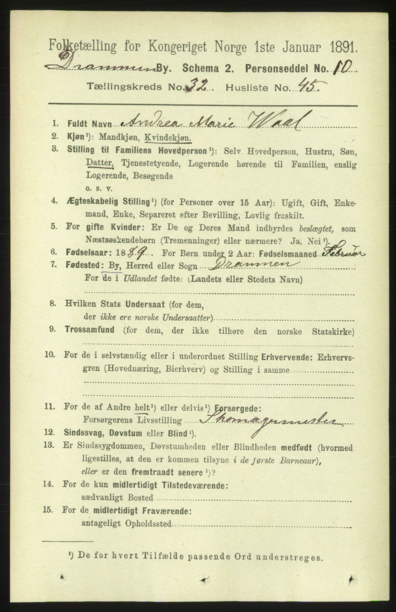 RA, 1891 census for 0602 Drammen, 1891, p. 19933