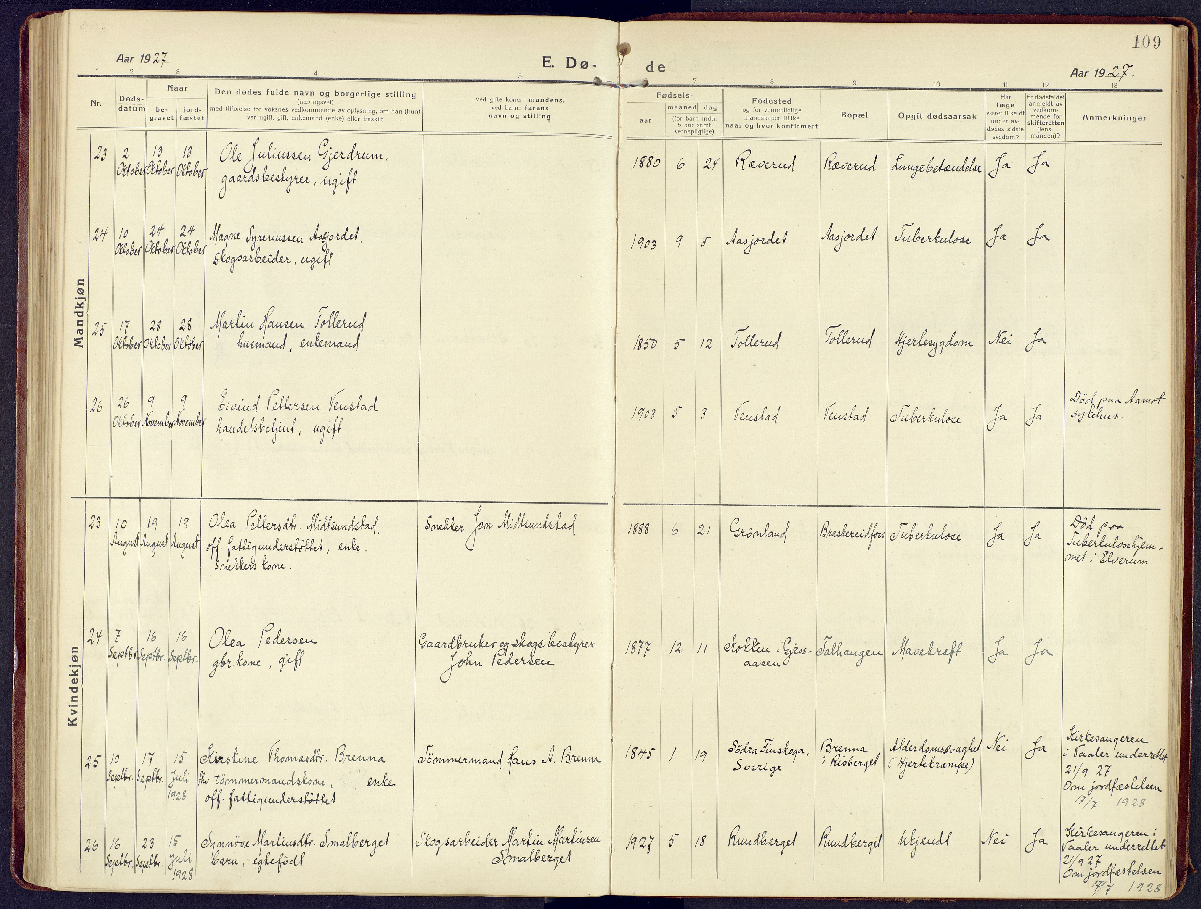 Våler prestekontor, Hedmark, AV/SAH-PREST-040/H/Ha/Haa/L0011: Parish register (official) no. 11, 1919-1933, p. 109