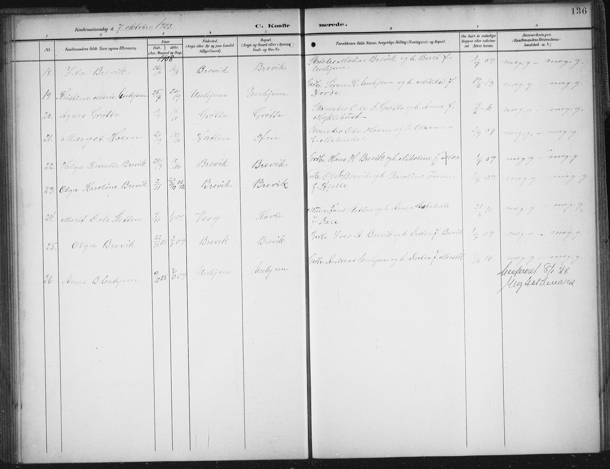 Ministerialprotokoller, klokkerbøker og fødselsregistre - Møre og Romsdal, AV/SAT-A-1454/545/L0589: Parish register (copy) no. 545C03, 1902-1937, p. 136