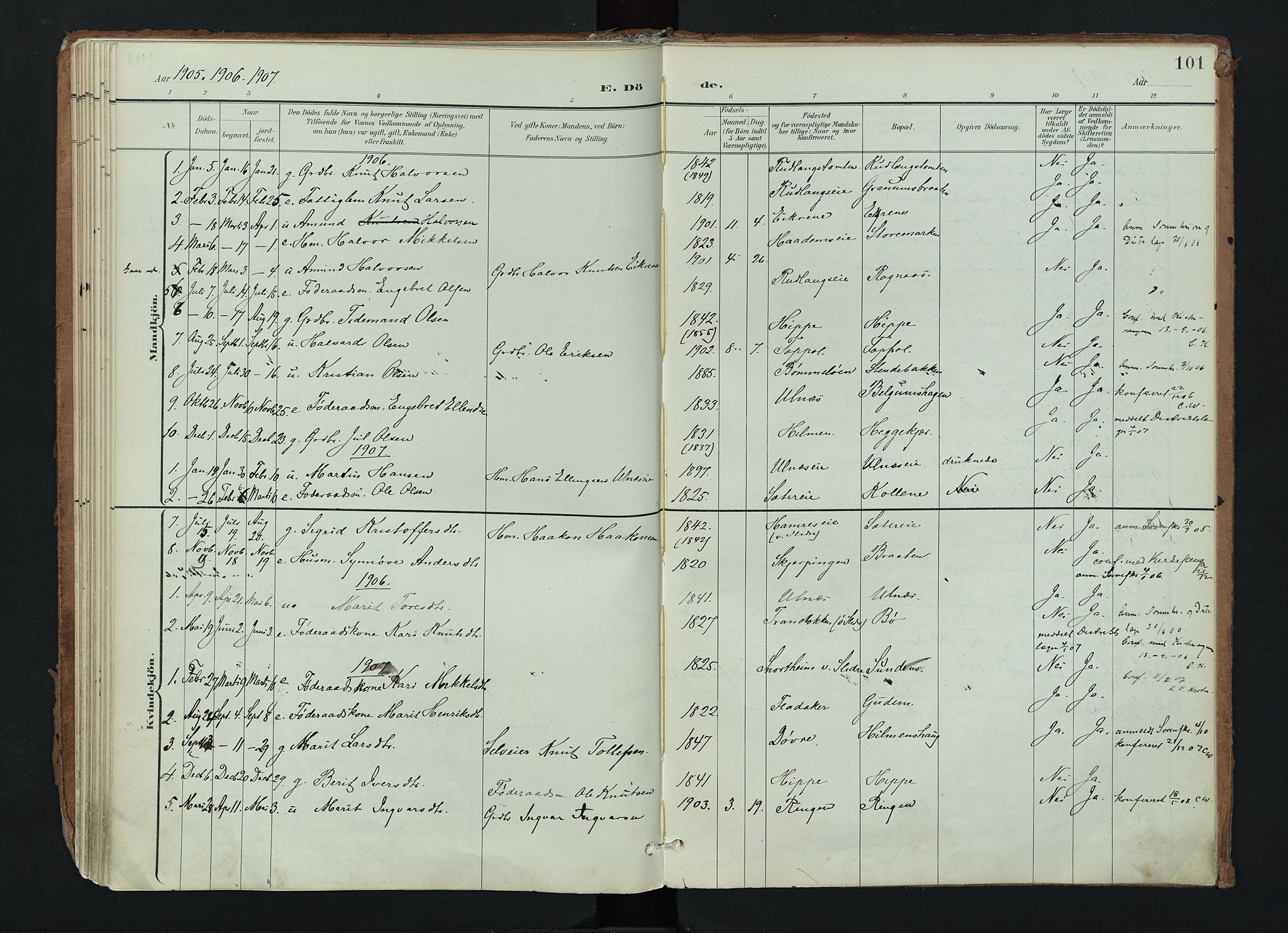 Nord-Aurdal prestekontor, SAH/PREST-132/H/Ha/Haa/L0017: Parish register (official) no. 17, 1897-1926, p. 101