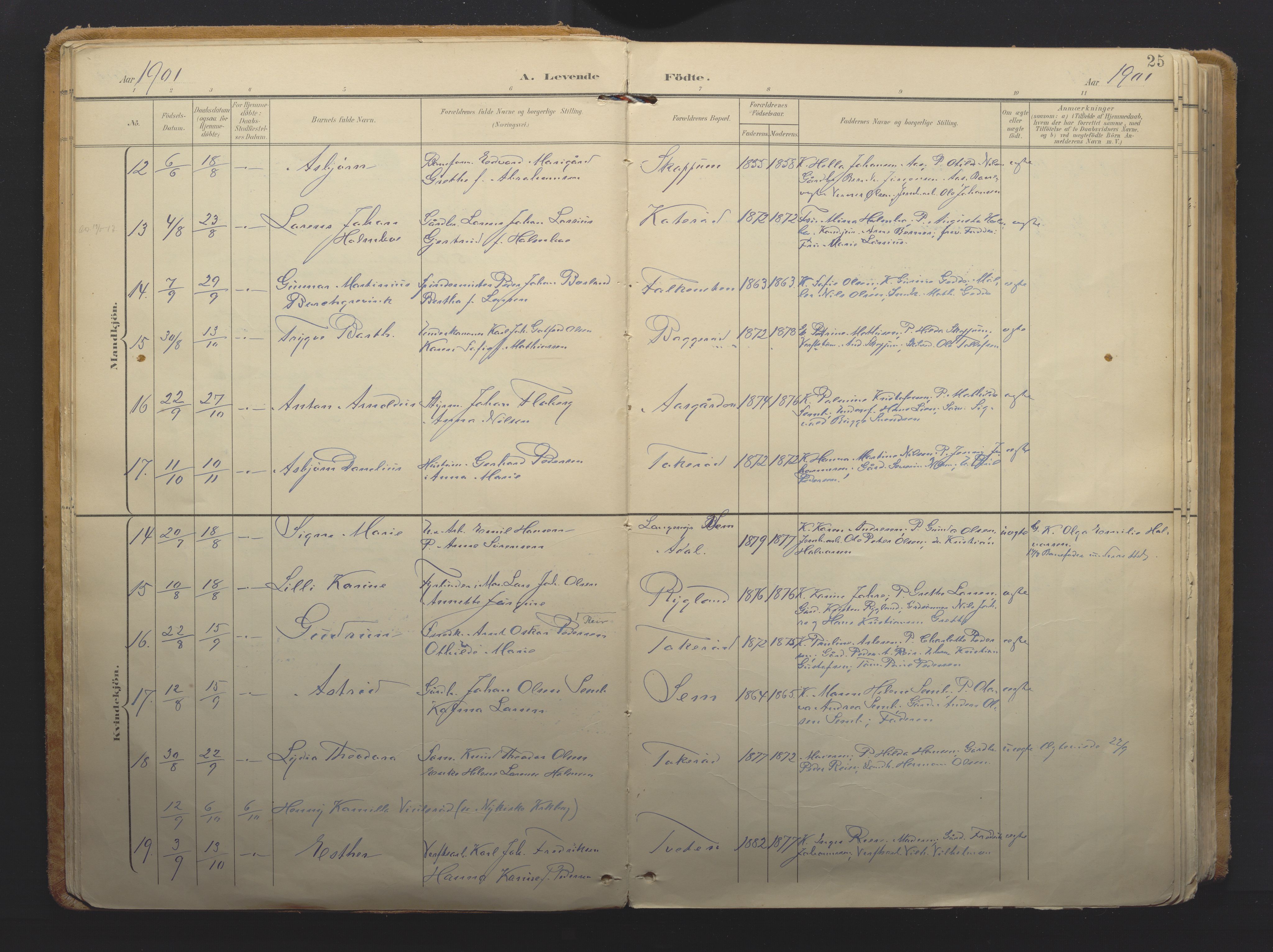 Borre kirkebøker, AV/SAKO-A-338/F/Fa/L0011: Parish register (official) no. I 11, 1897-1921, p. 25