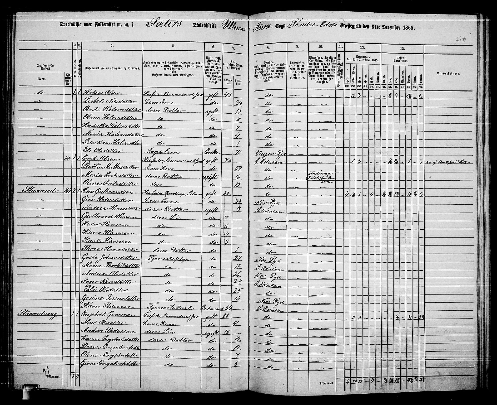 RA, 1865 census for Sør-Odal, 1865, p. 229