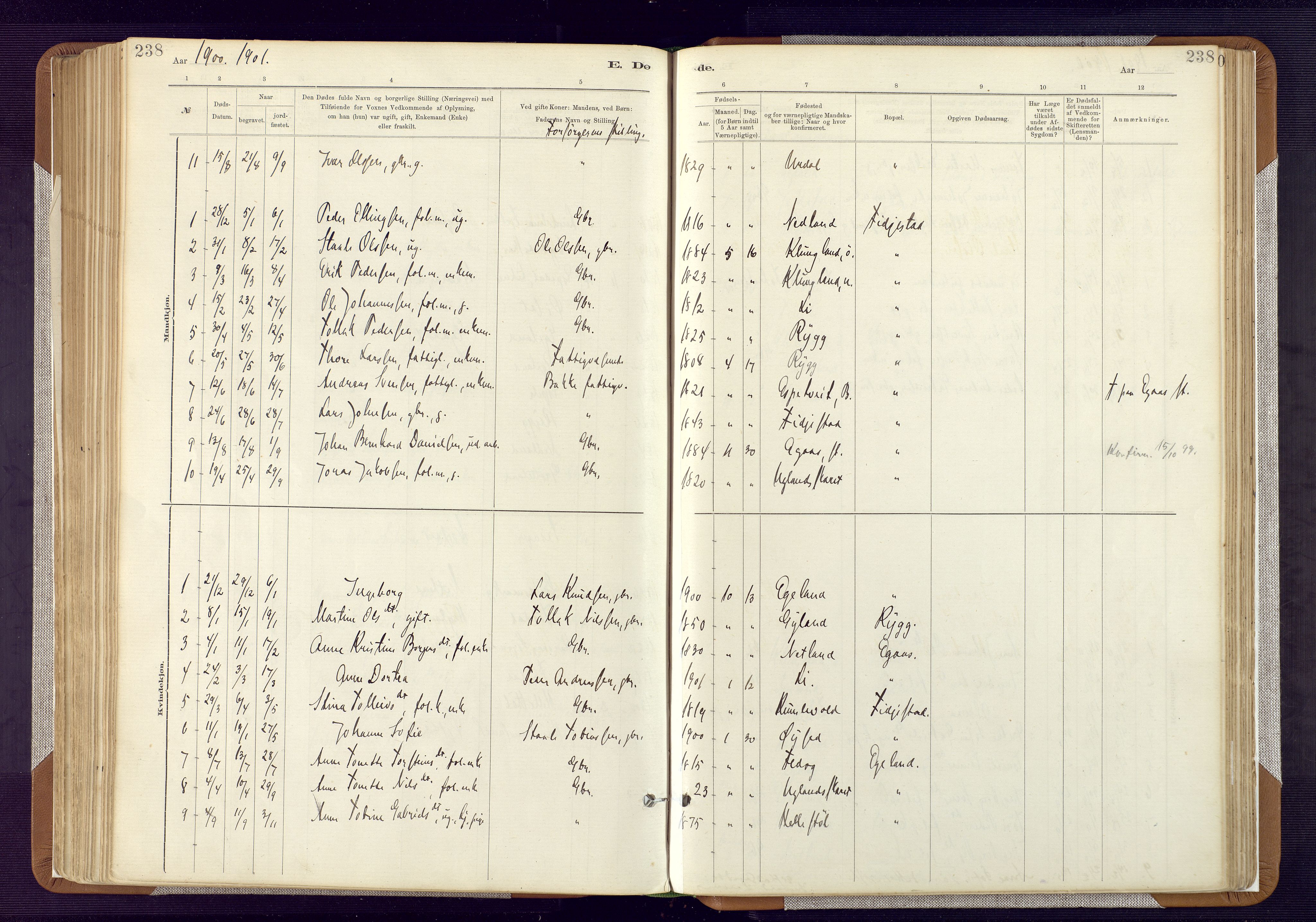 Bakke sokneprestkontor, SAK/1111-0002/F/Fa/Fab/L0003: Parish register (official) no. A 3, 1884-1921, p. 238
