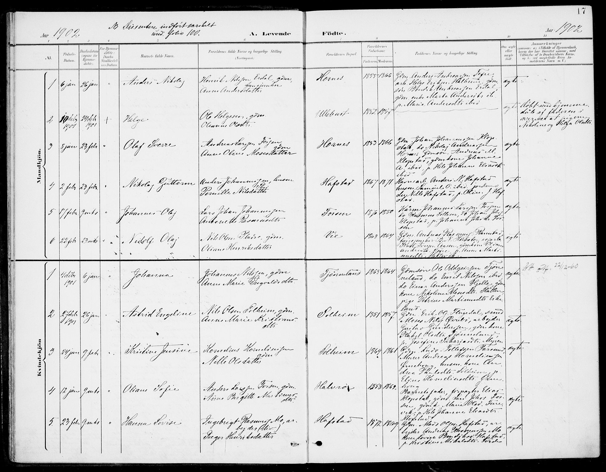 Førde sokneprestembete, SAB/A-79901/H/Haa/Haab/L0002: Parish register (official) no. B  2, 1899-1920, p. 17
