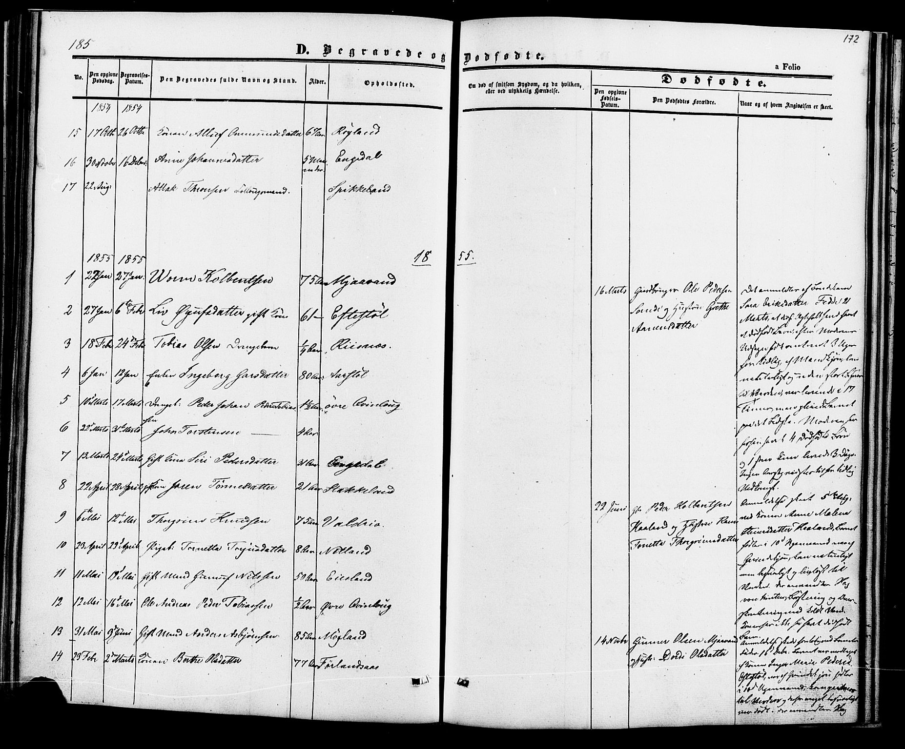 Fjotland sokneprestkontor, AV/SAK-1111-0010/F/Fa/L0001: Parish register (official) no. A 1, 1850-1879, p. 172