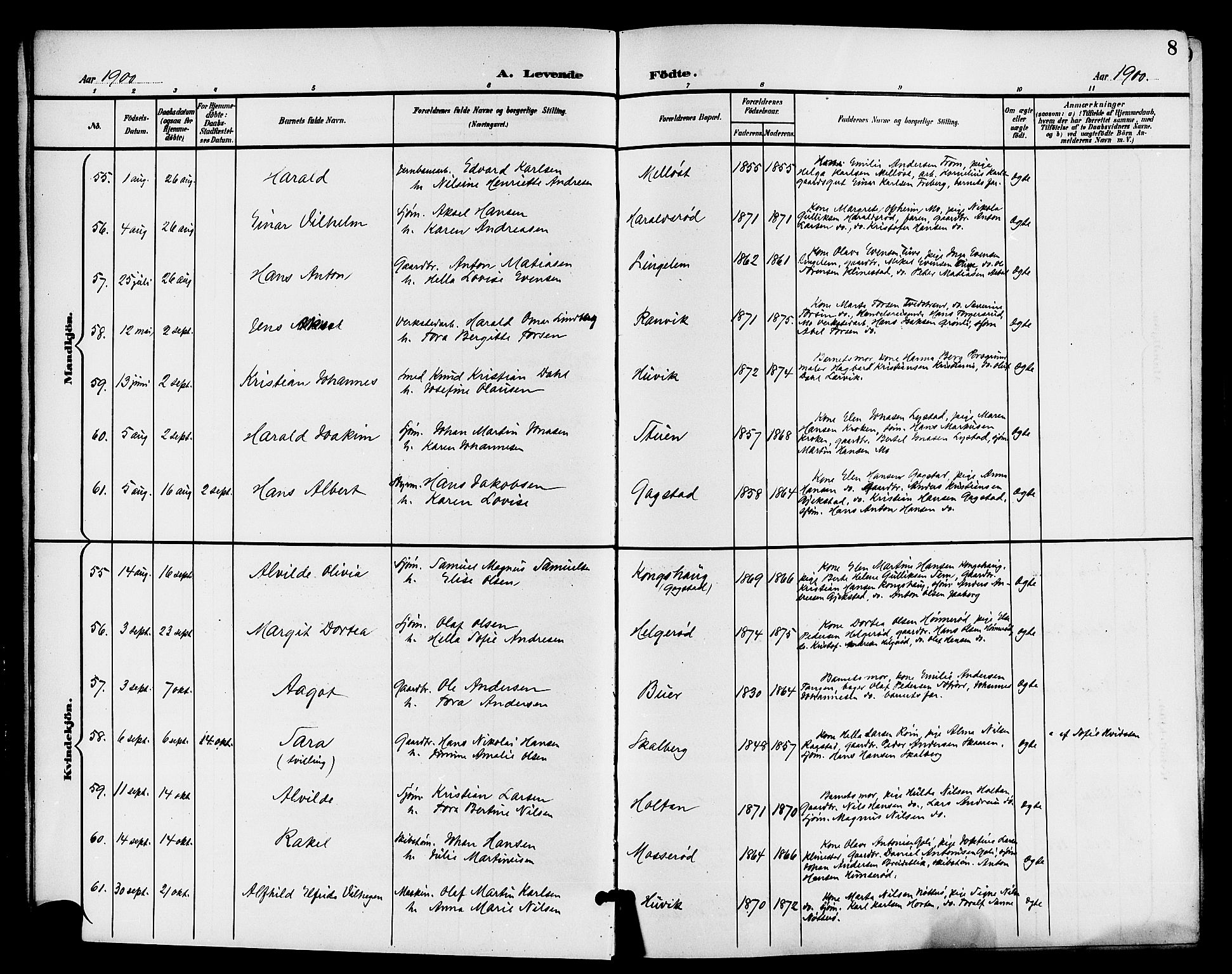 Sandar kirkebøker, AV/SAKO-A-243/G/Ga/L0002: Parish register (copy) no. 2, 1900-1915, p. 8