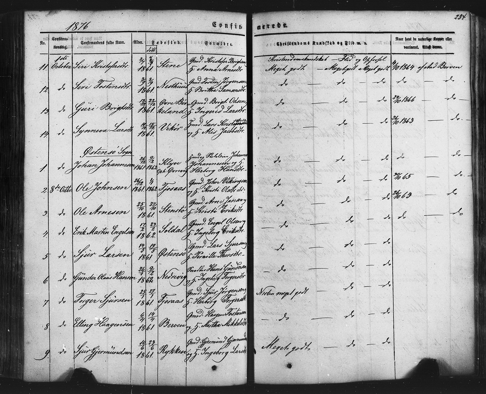 Kvam sokneprestembete, SAB/A-76201/H/Haa: Parish register (official) no. A 9, 1864-1879, p. 234