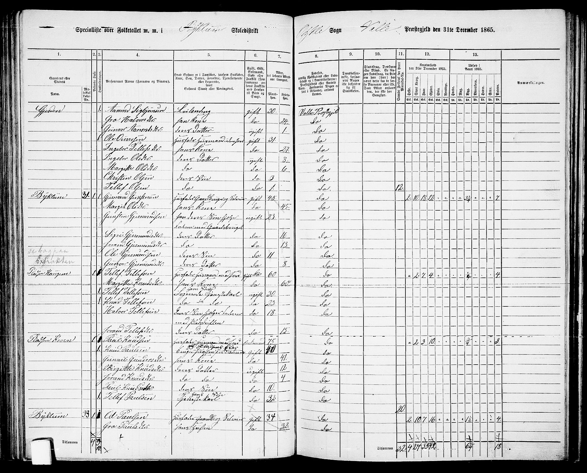 RA, 1865 census for Valle, 1865, p. 82