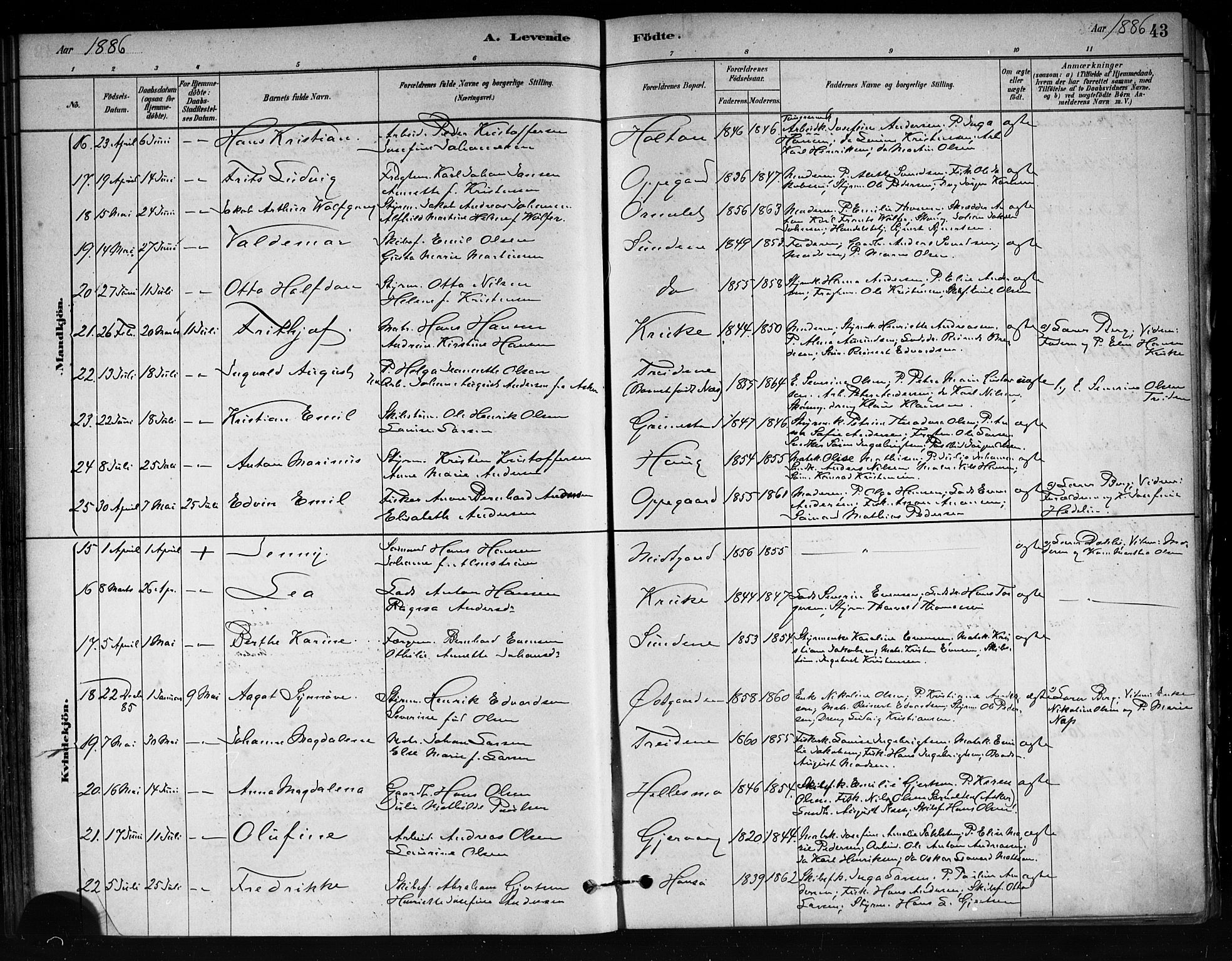 Tjøme kirkebøker, AV/SAKO-A-328/F/Fa/L0001: Parish register (official) no. I 1, 1879-1890, p. 43