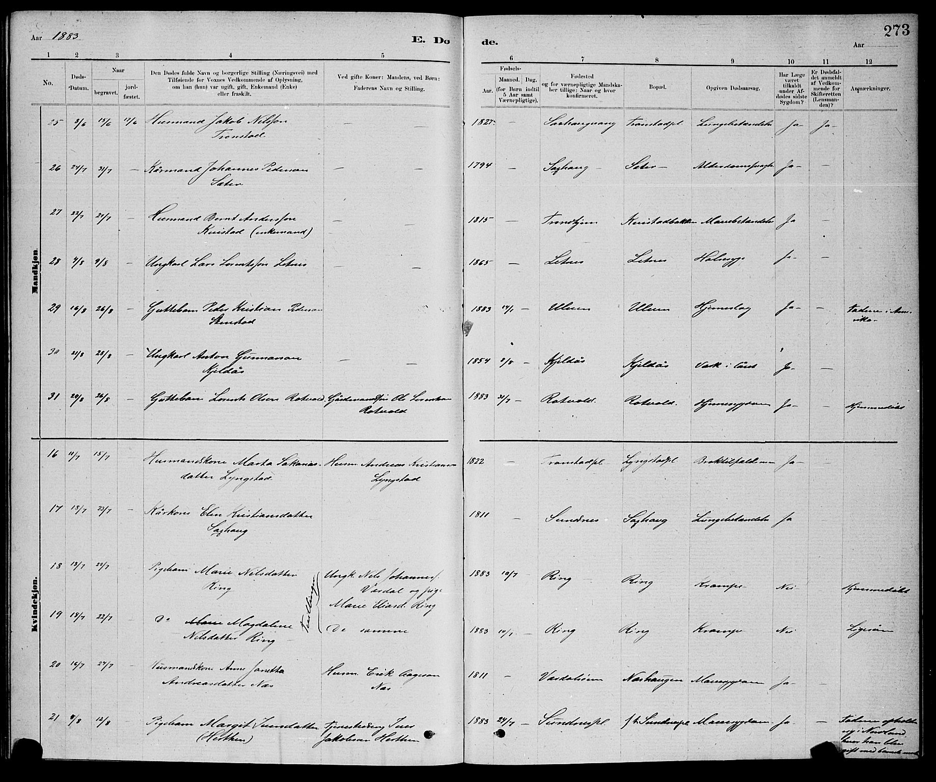 Ministerialprotokoller, klokkerbøker og fødselsregistre - Nord-Trøndelag, AV/SAT-A-1458/730/L0301: Parish register (copy) no. 730C04, 1880-1897, p. 273