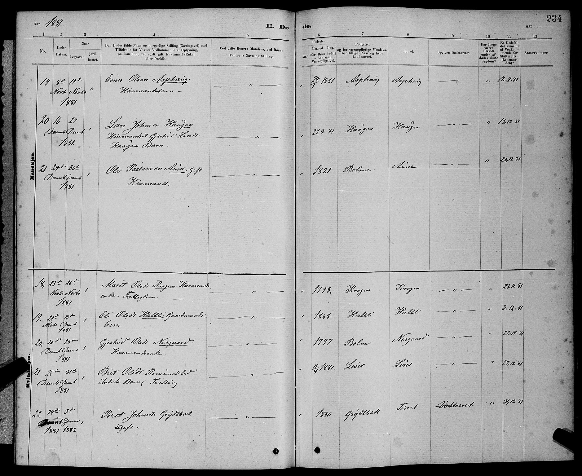 Ministerialprotokoller, klokkerbøker og fødselsregistre - Møre og Romsdal, AV/SAT-A-1454/598/L1077: Parish register (copy) no. 598C02, 1879-1891, p. 234