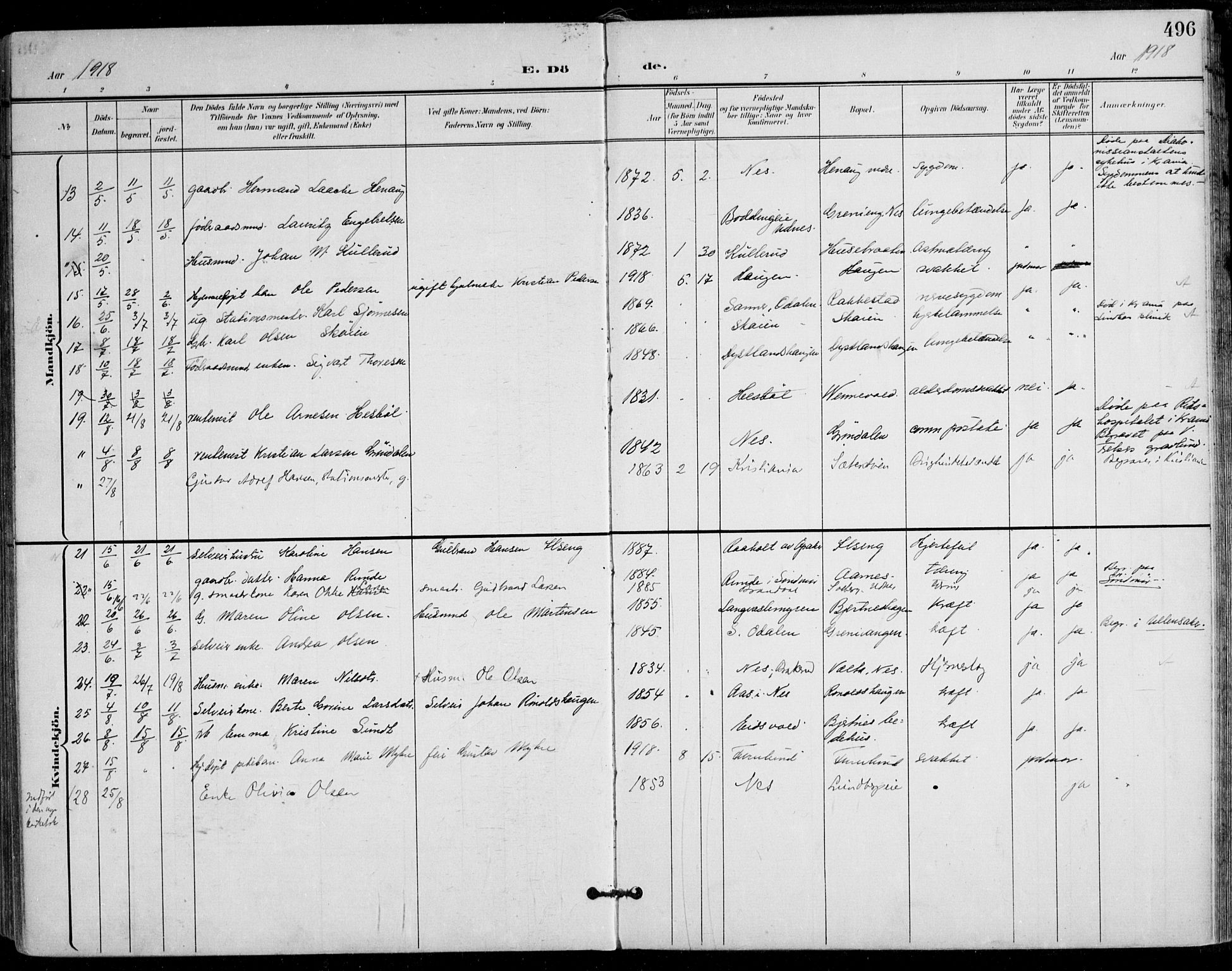 Nes prestekontor Kirkebøker, AV/SAO-A-10410/F/Fa/L0011: Parish register (official) no. I 11, 1899-1918, p. 496