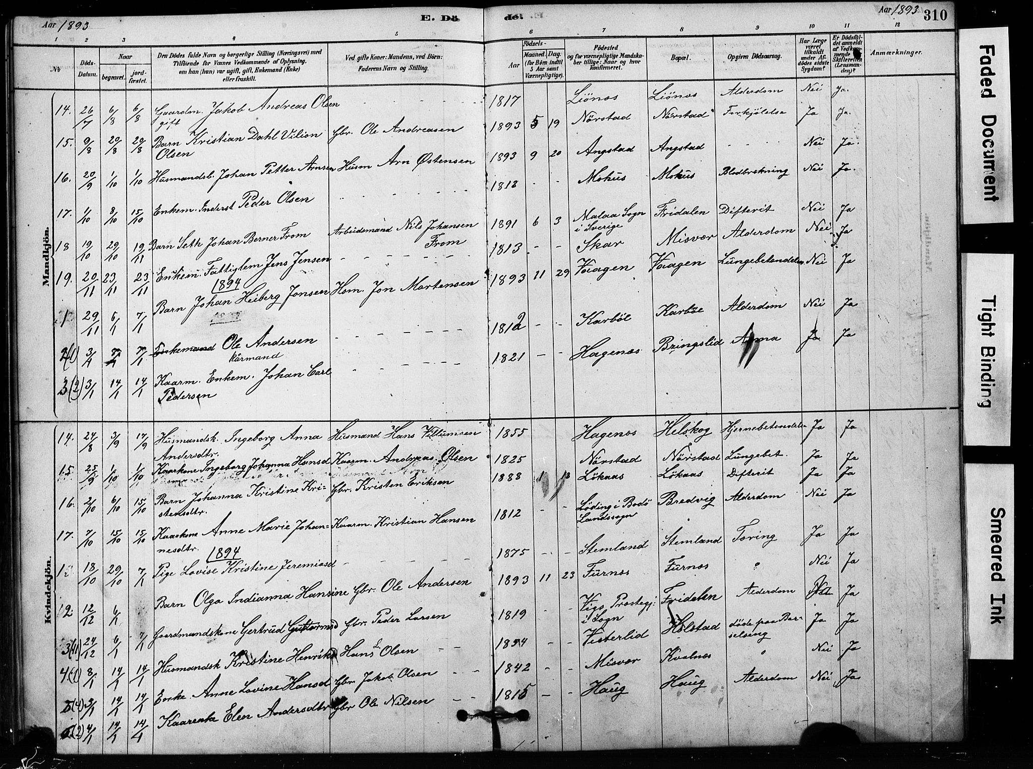 Ministerialprotokoller, klokkerbøker og fødselsregistre - Nordland, AV/SAT-A-1459/852/L0754: Parish register (copy) no. 852C05, 1878-1894, p. 310