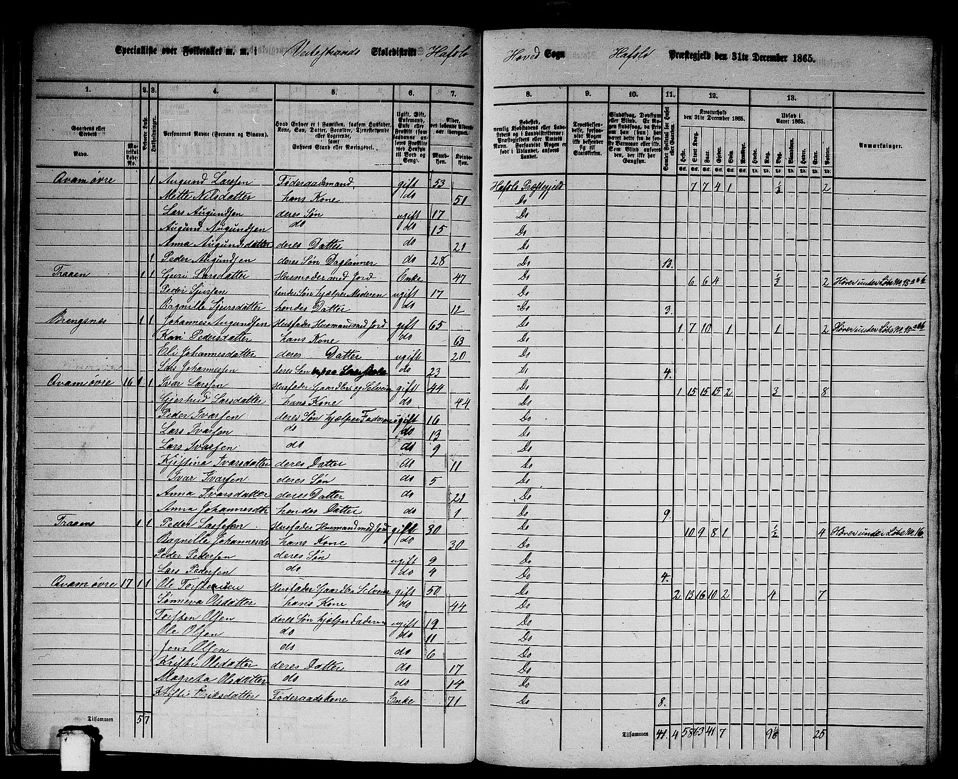 RA, 1865 census for Hafslo, 1865, p. 19