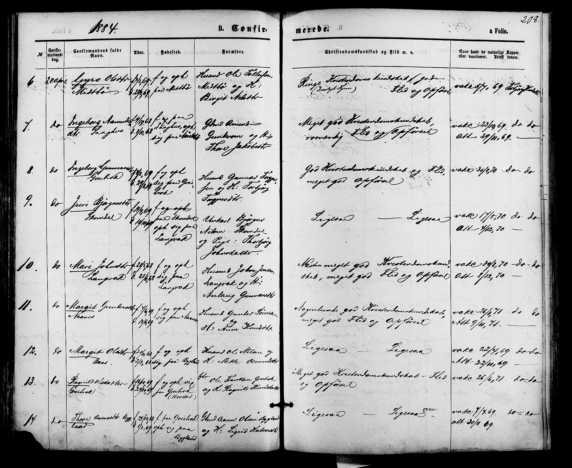 Bygland sokneprestkontor, AV/SAK-1111-0006/F/Fa/Fab/L0006: Parish register (official) no. A 6, 1873-1884, p. 208