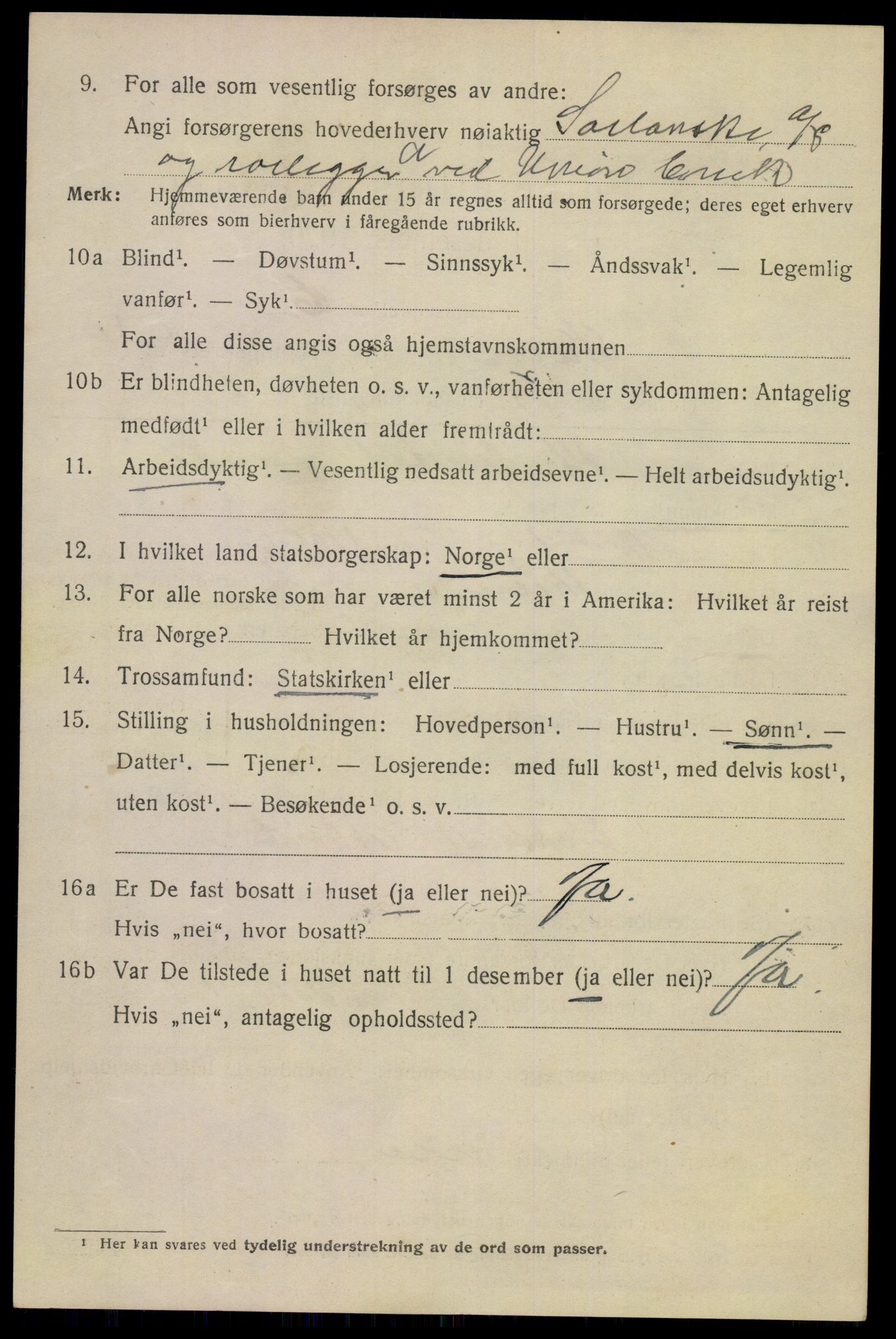 SAKO, 1920 census for Skien, 1920, p. 16923