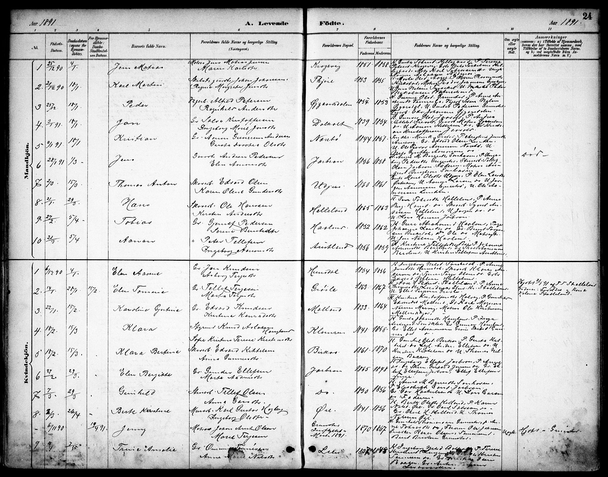 Hommedal sokneprestkontor, AV/SAK-1111-0023/F/Fb/Fbb/L0007: Parish register (copy) no. B 7, 1885-1904, p. 24