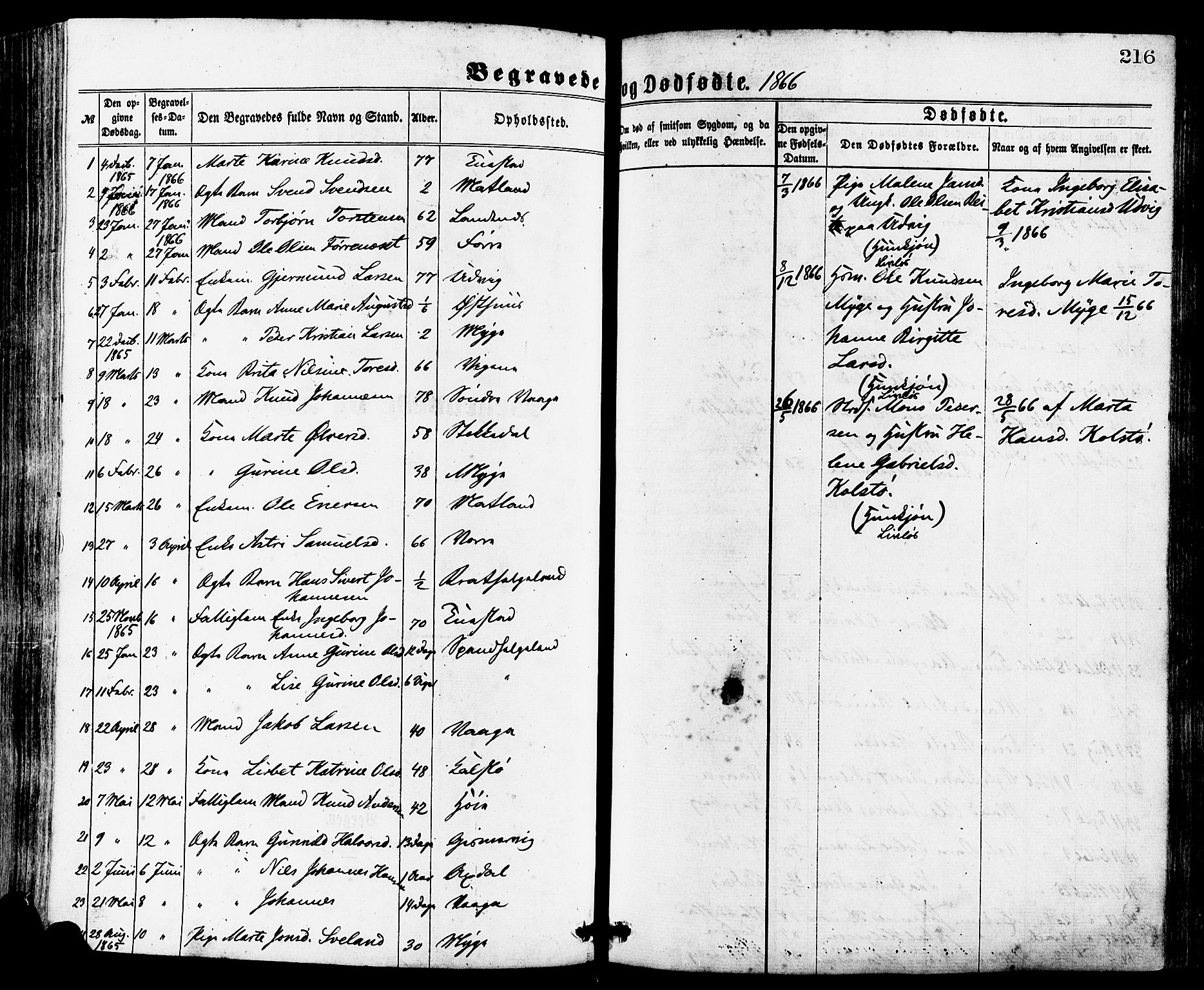 Avaldsnes sokneprestkontor, SAST/A -101851/H/Ha/Haa/L0012: Parish register (official) no. A 12, 1865-1880, p. 216