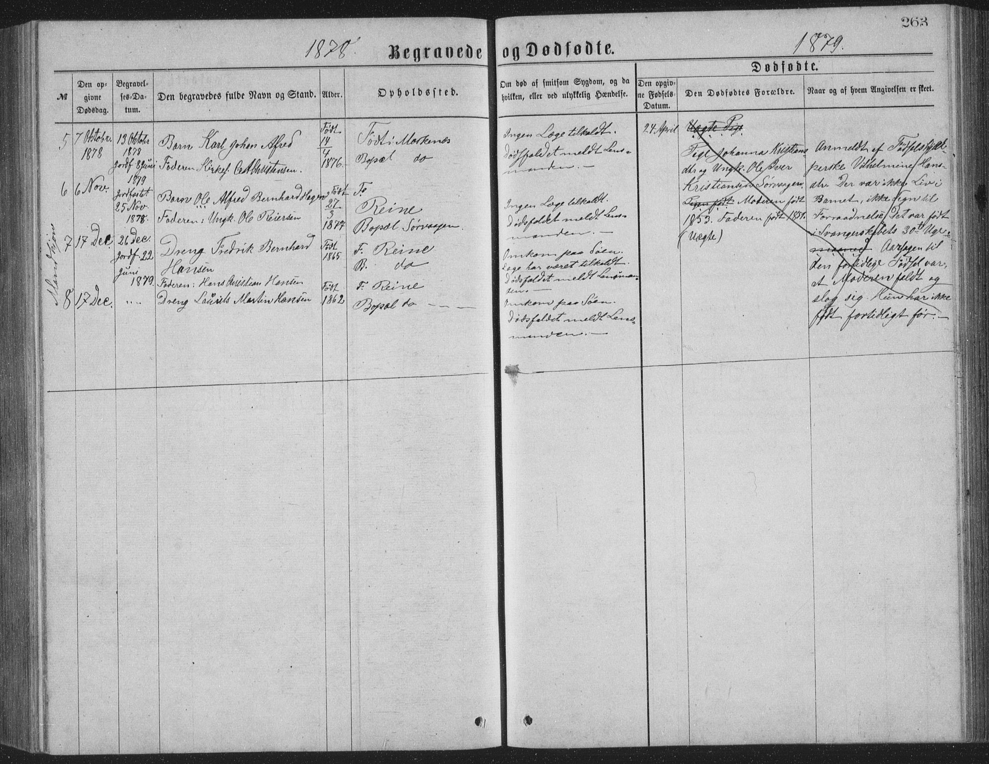 Ministerialprotokoller, klokkerbøker og fødselsregistre - Nordland, AV/SAT-A-1459/886/L1225: Parish register (copy) no. 886C02, 1874-1896, p. 263