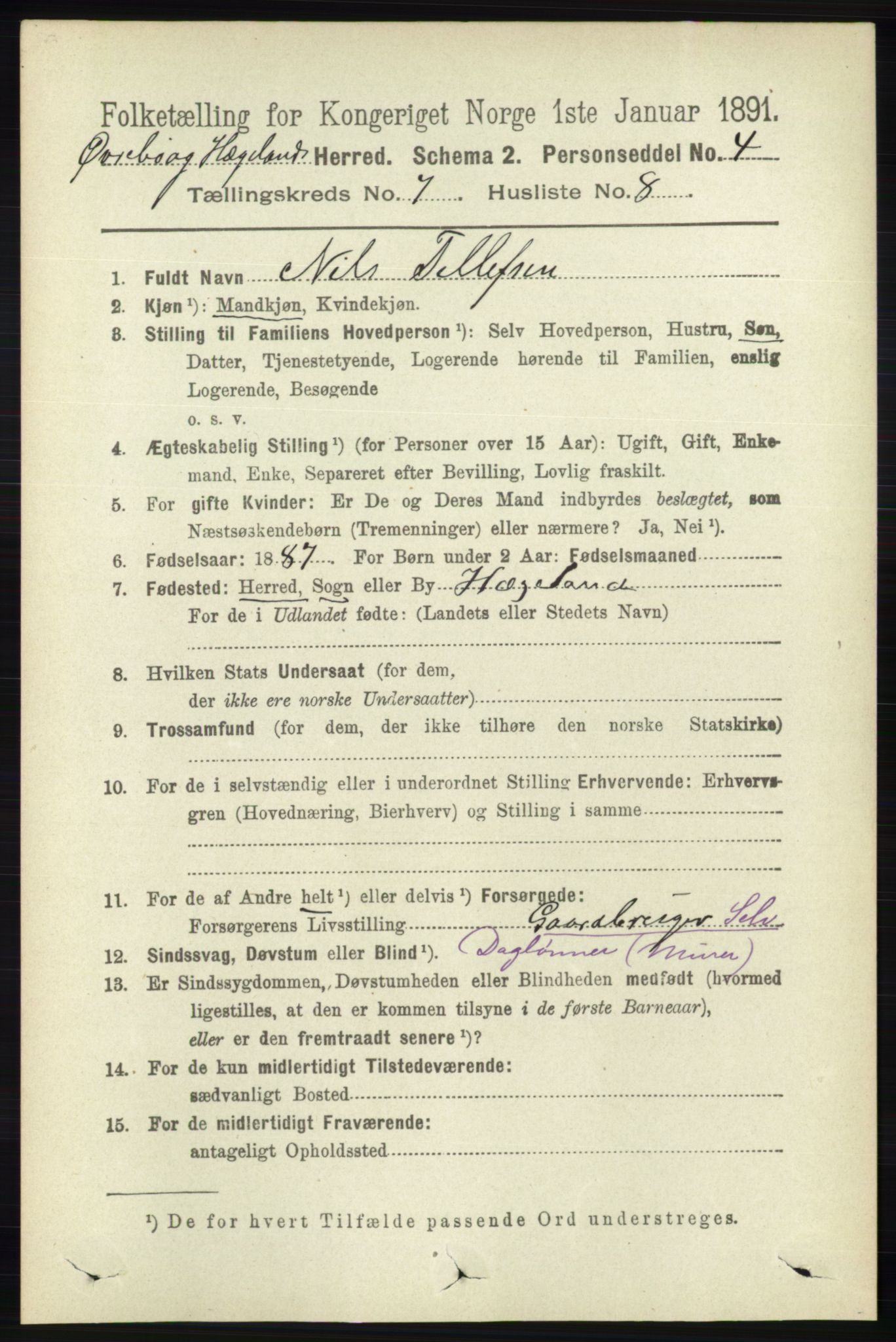 RA, 1891 census for 1016 Øvrebø og Hægeland, 1891, p. 1386