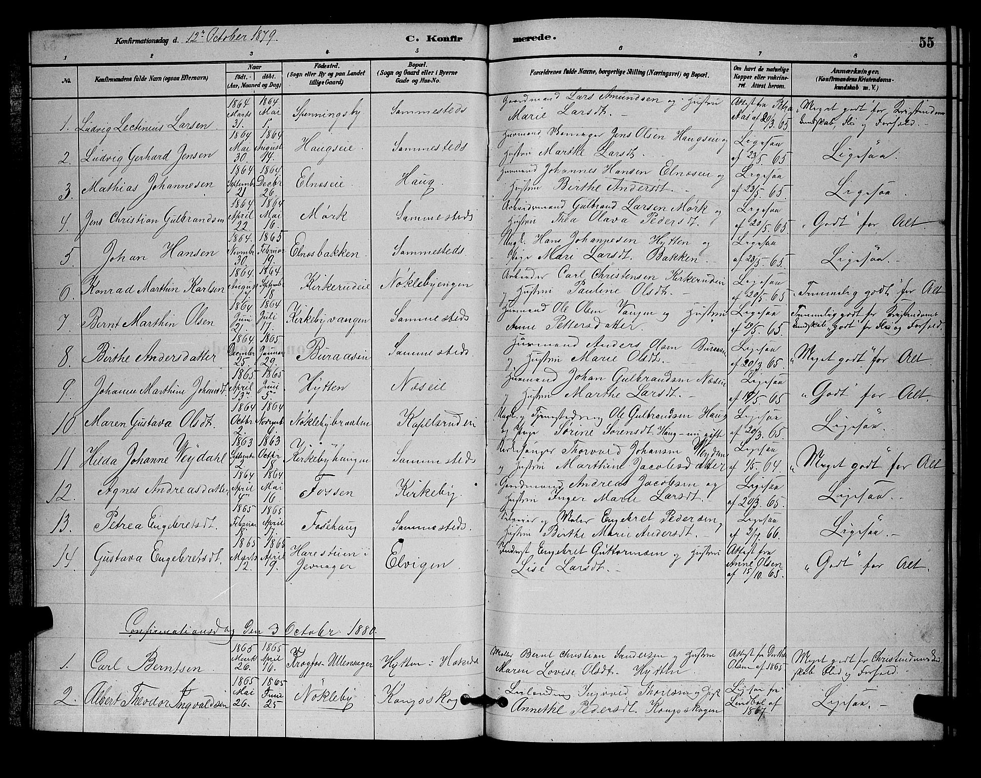 Nittedal prestekontor Kirkebøker, AV/SAO-A-10365a/G/Gb/L0002: Parish register (copy) no. II 2, 1879-1901, p. 55