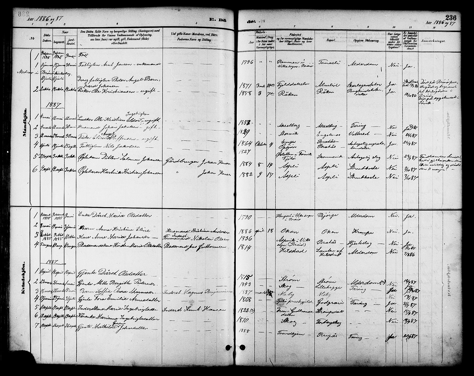 Ministerialprotokoller, klokkerbøker og fødselsregistre - Nordland, AV/SAT-A-1459/814/L0230: Parish register (copy) no. 814C03, 1884-1911, p. 236