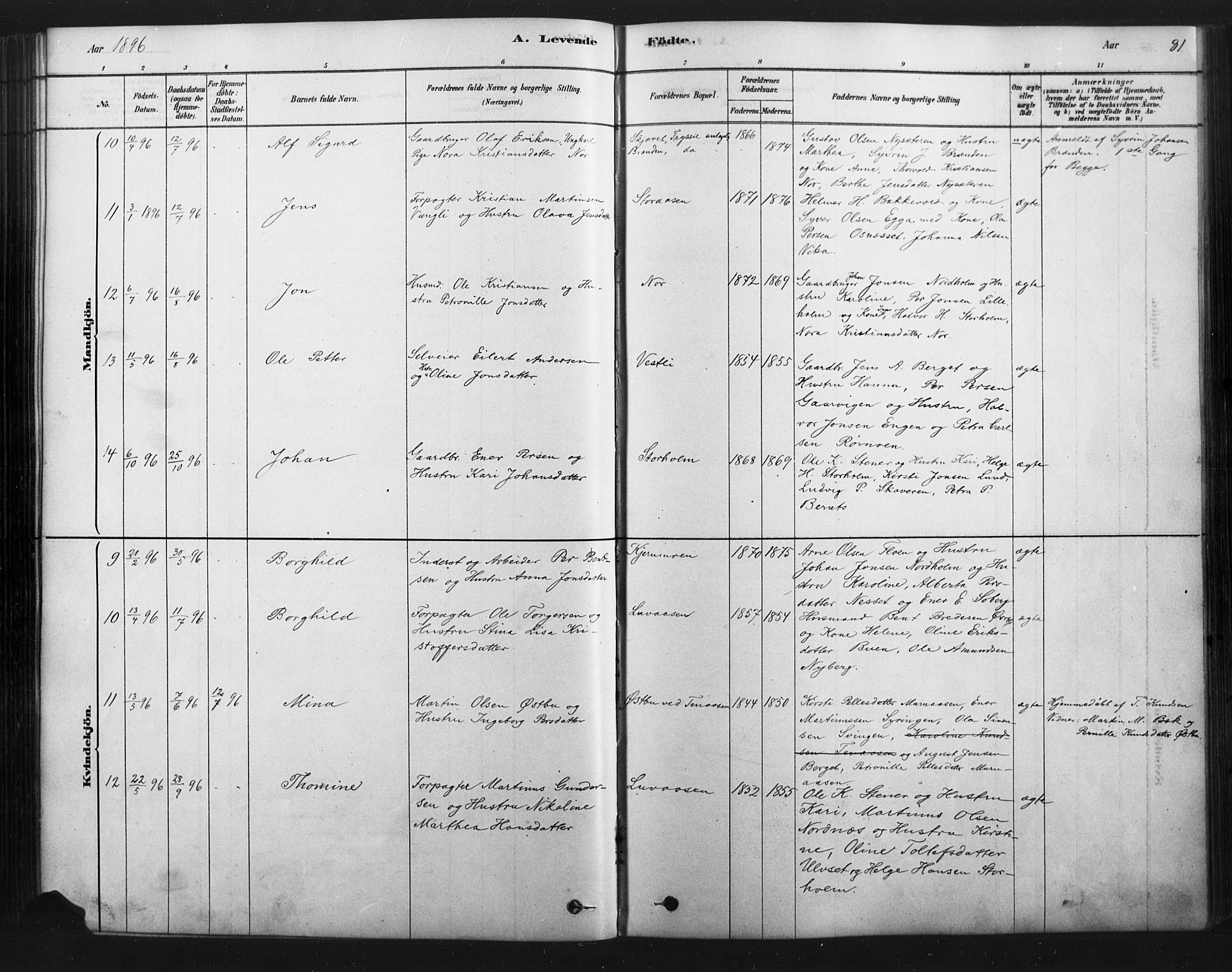 Åmot prestekontor, Hedmark, AV/SAH-PREST-056/H/Ha/Haa/L0012: Parish register (official) no. 12, 1878-1901, p. 81