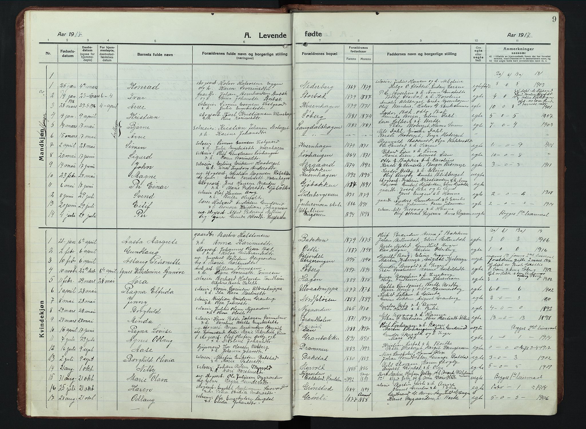 Elverum prestekontor, AV/SAH-PREST-044/H/Ha/Hab/L0011: Parish register (copy) no. 11, 1915-1947, p. 9