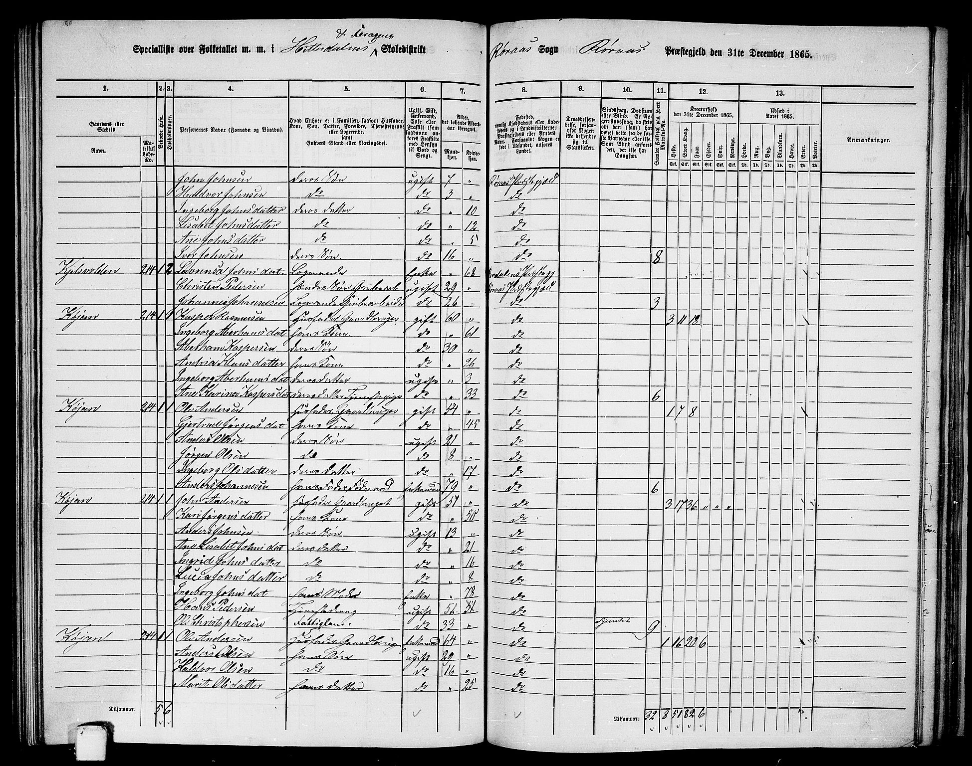 RA, 1865 census for Røros, 1865, p. 107